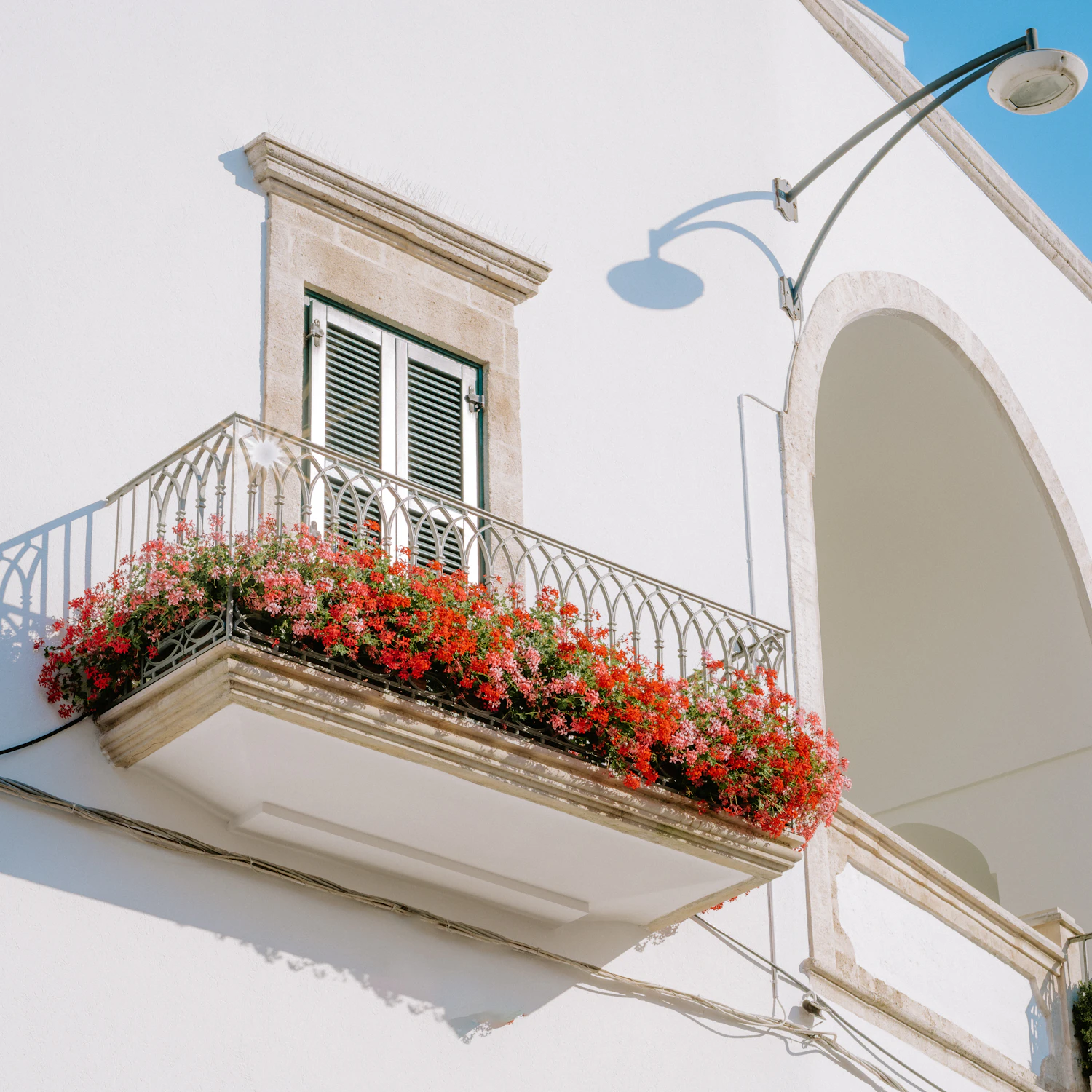 A white balcony planted with red geraniums beneath a window with green shutters