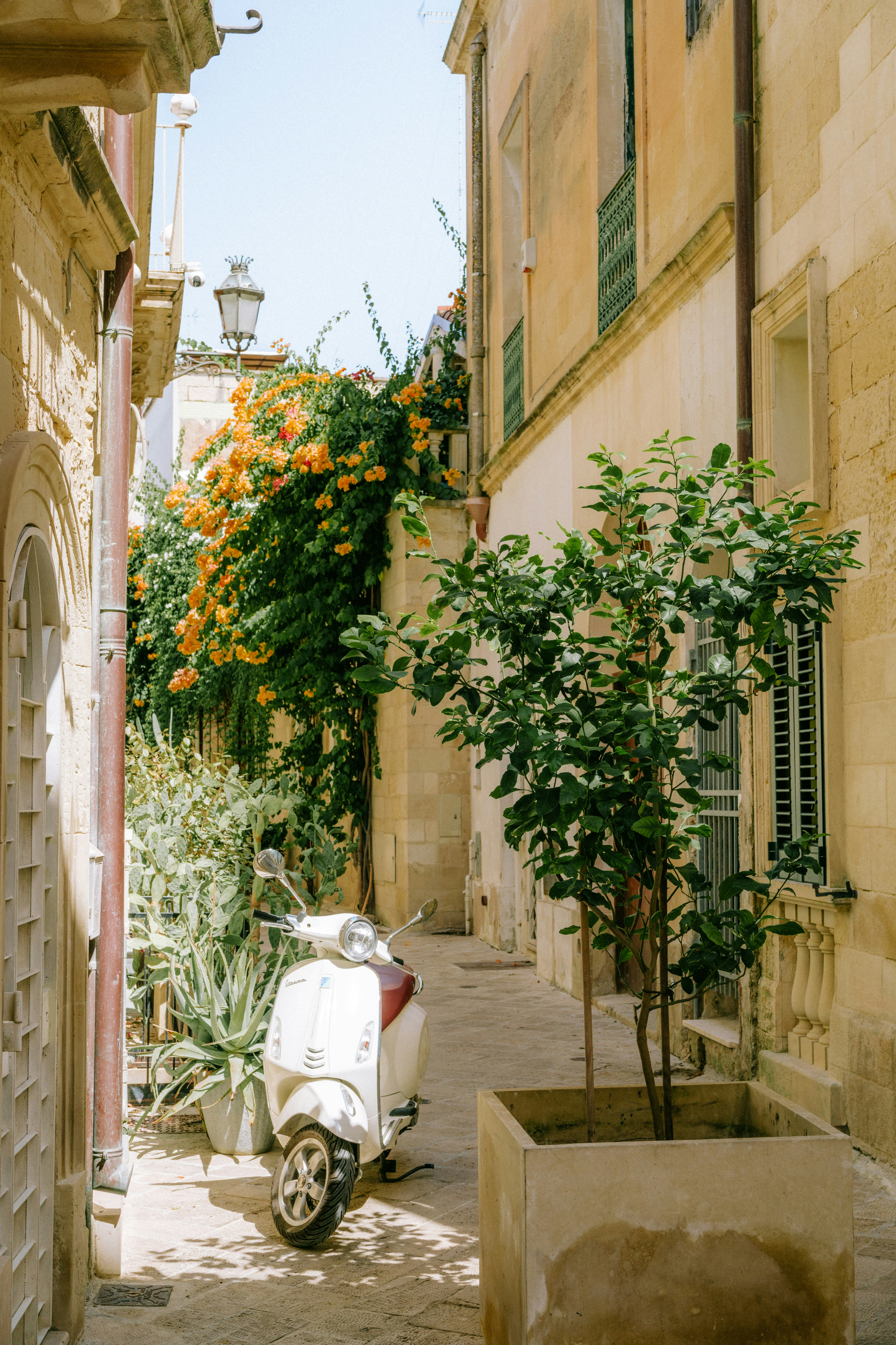 A white scooter parked in a narrow stone alleyway with orange flowers and plants