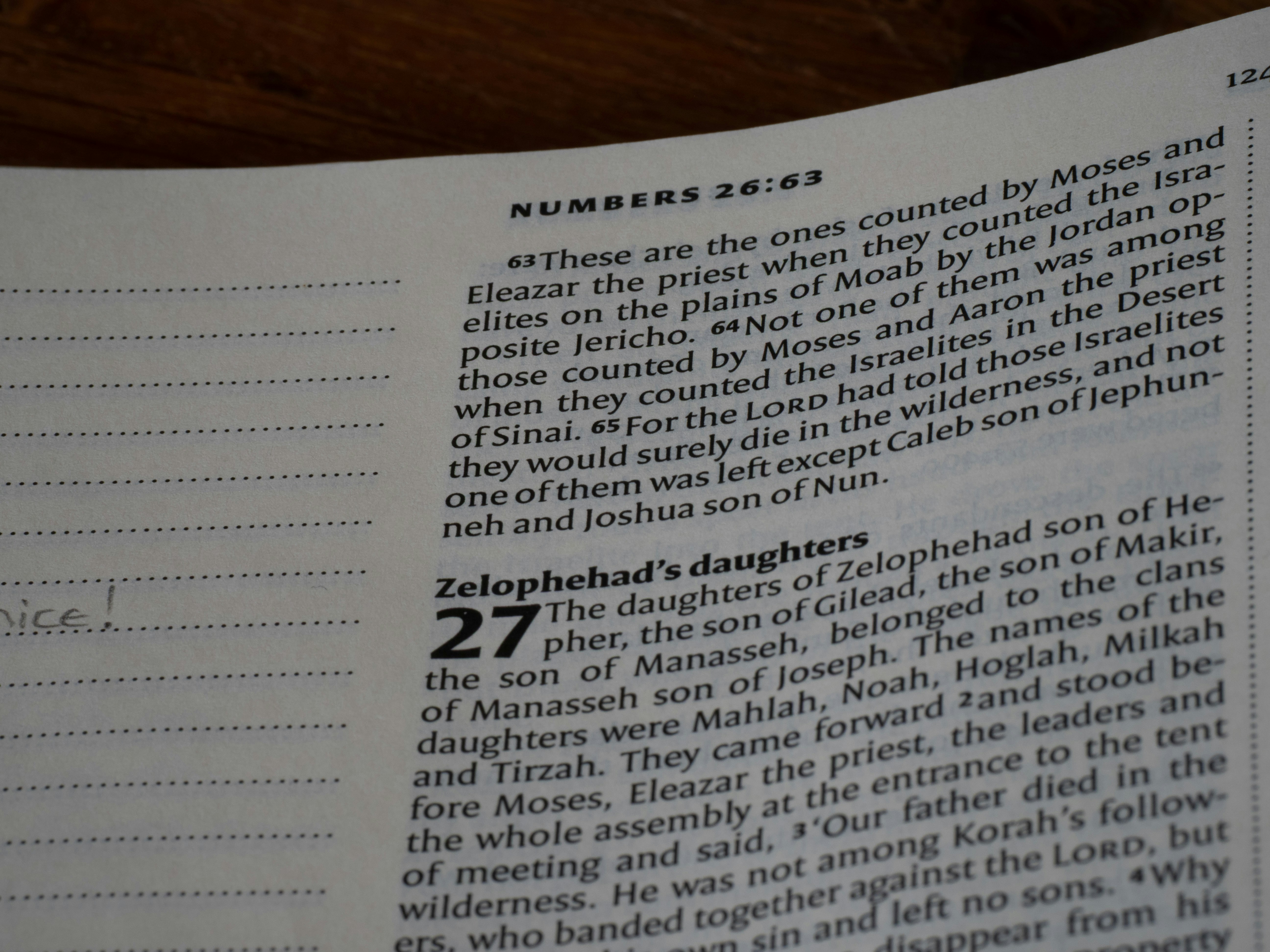 A page of a Bible showing the text of Numbers 26 and 27