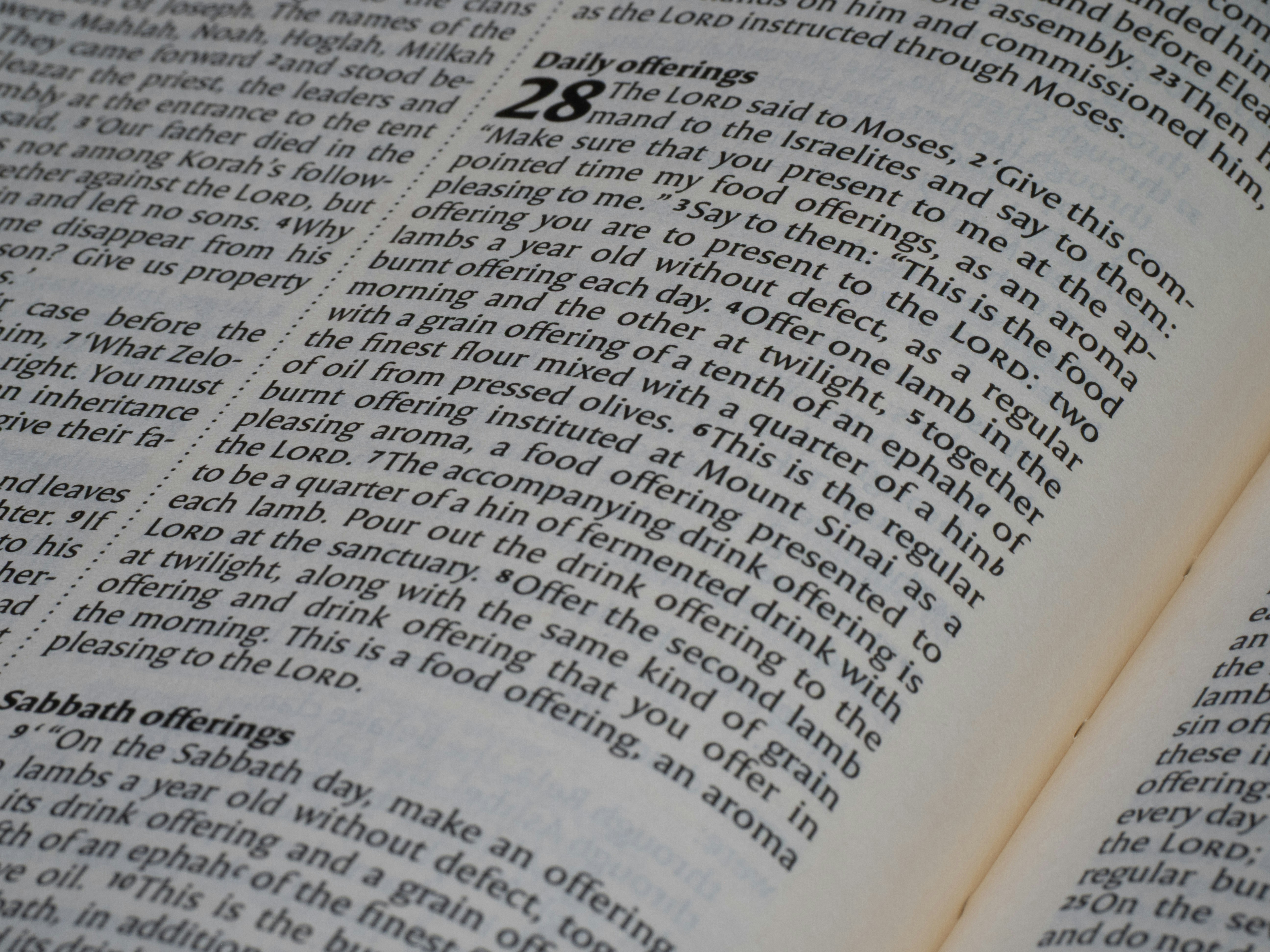 A close-up of printed text on a page from the book of Numbers