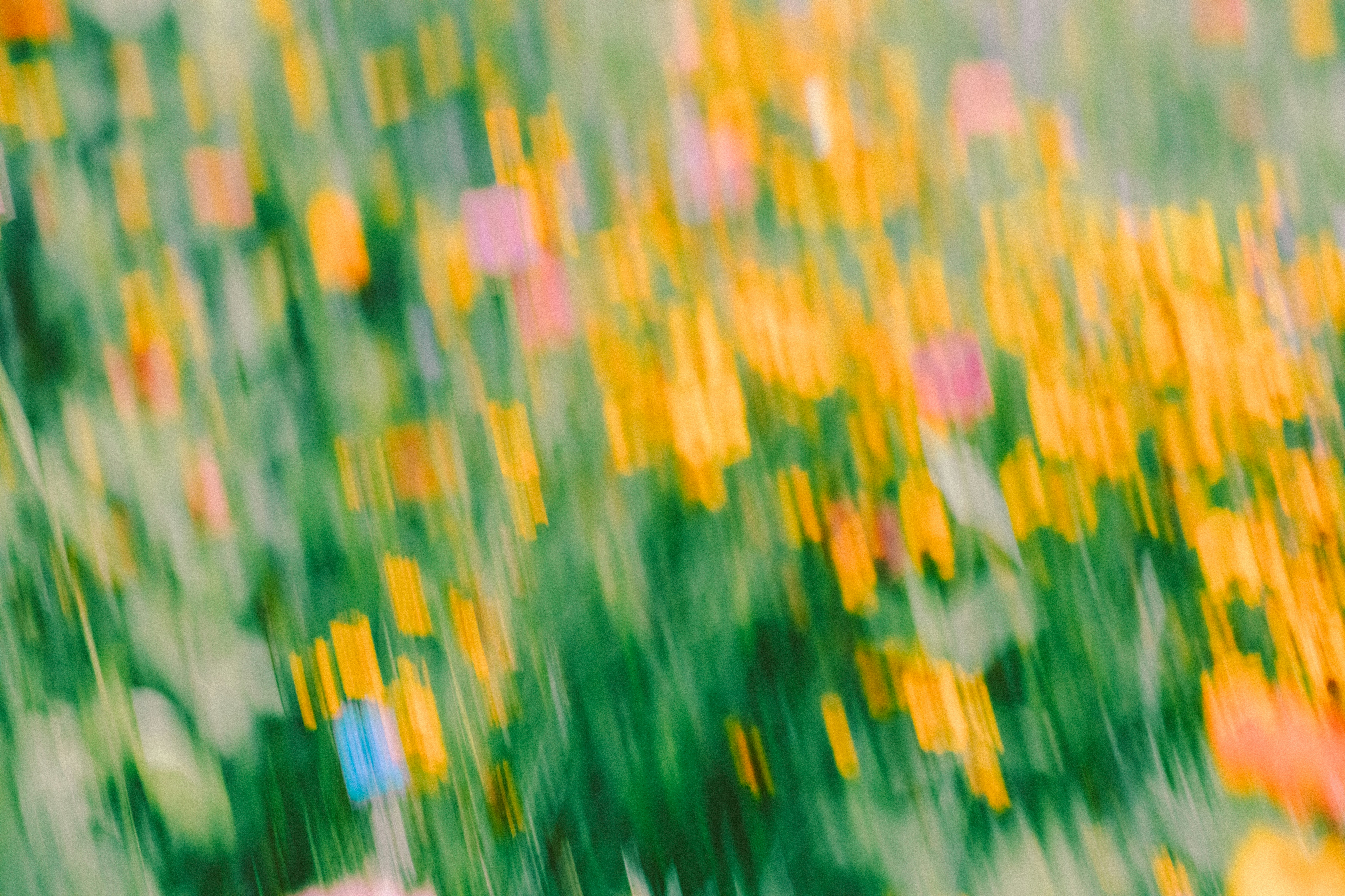 緑の野原に黄色とピンクの花が抽象的にぼやけている
