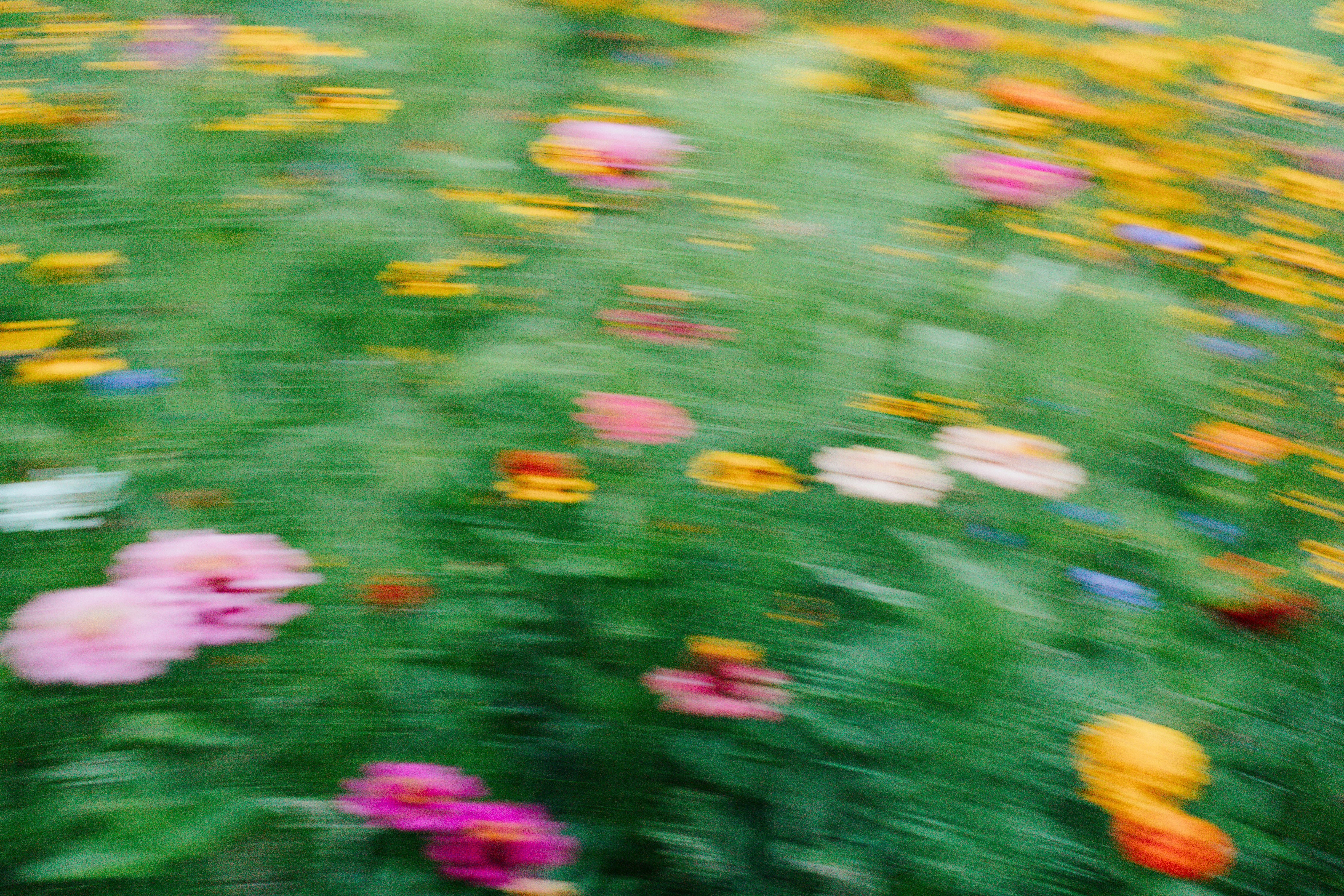 緑の草原に咲くピンクと黄色の野生の花のモーションブラー映像
