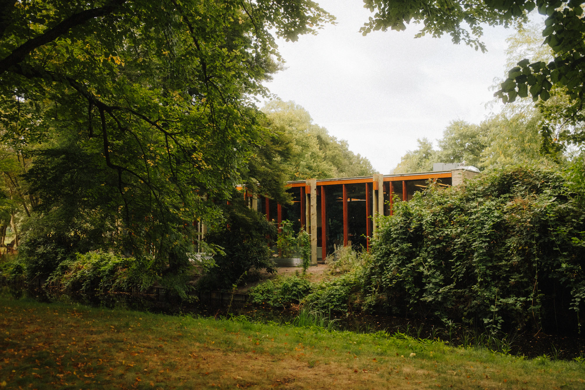 A modern house with large glass walls among trees