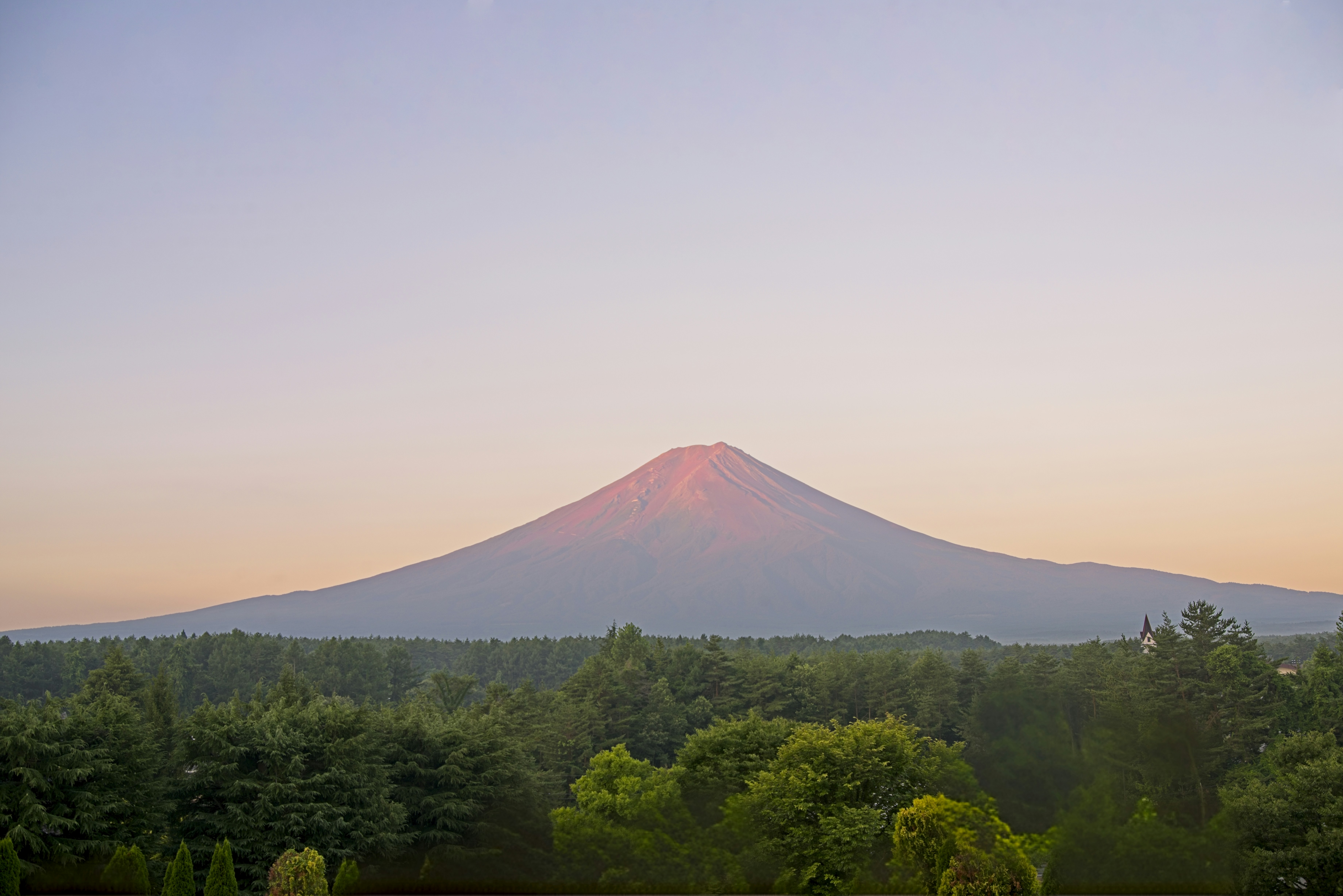 Illustrative photo: Mount Fuji glowing in warm light above a dense green forest in Japan