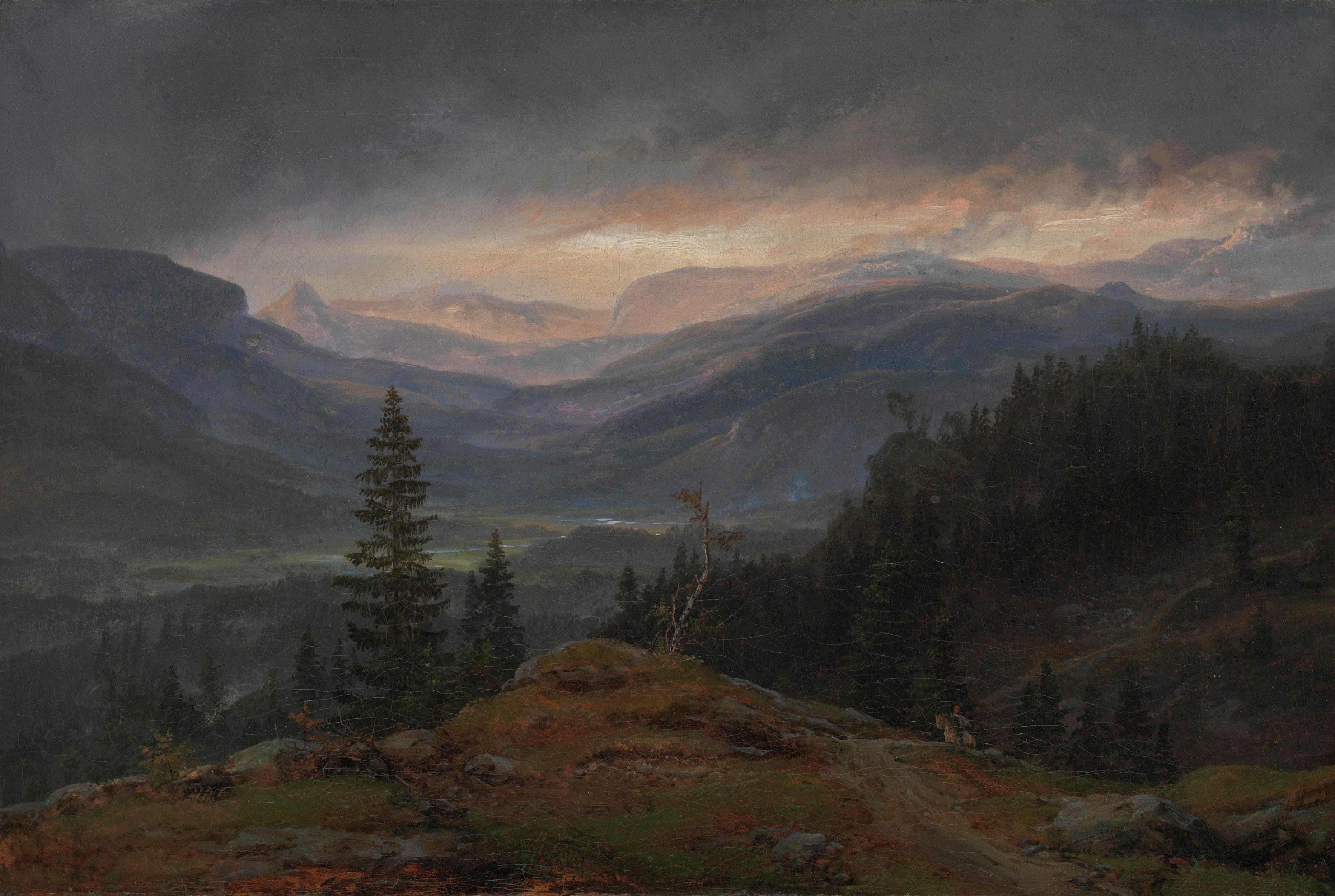 A dark valley with pine trees under a stormy sky with low light