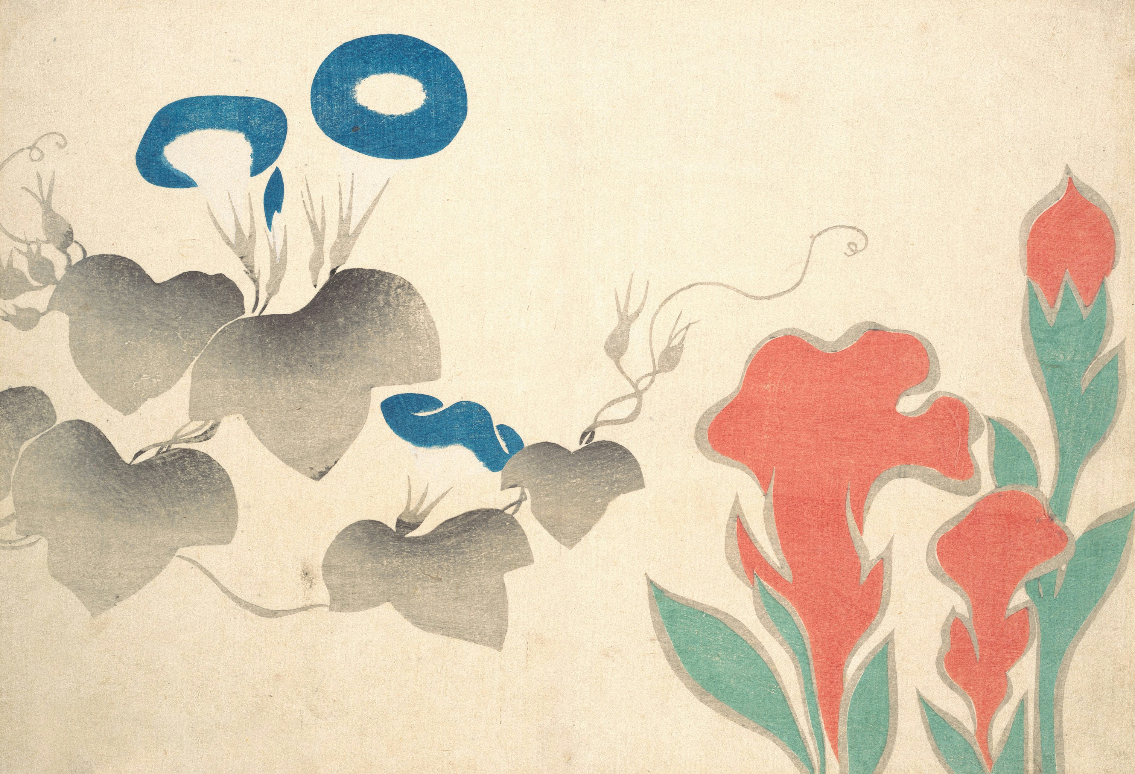 Blue morning glory flowers and red celosia plants on a cream background