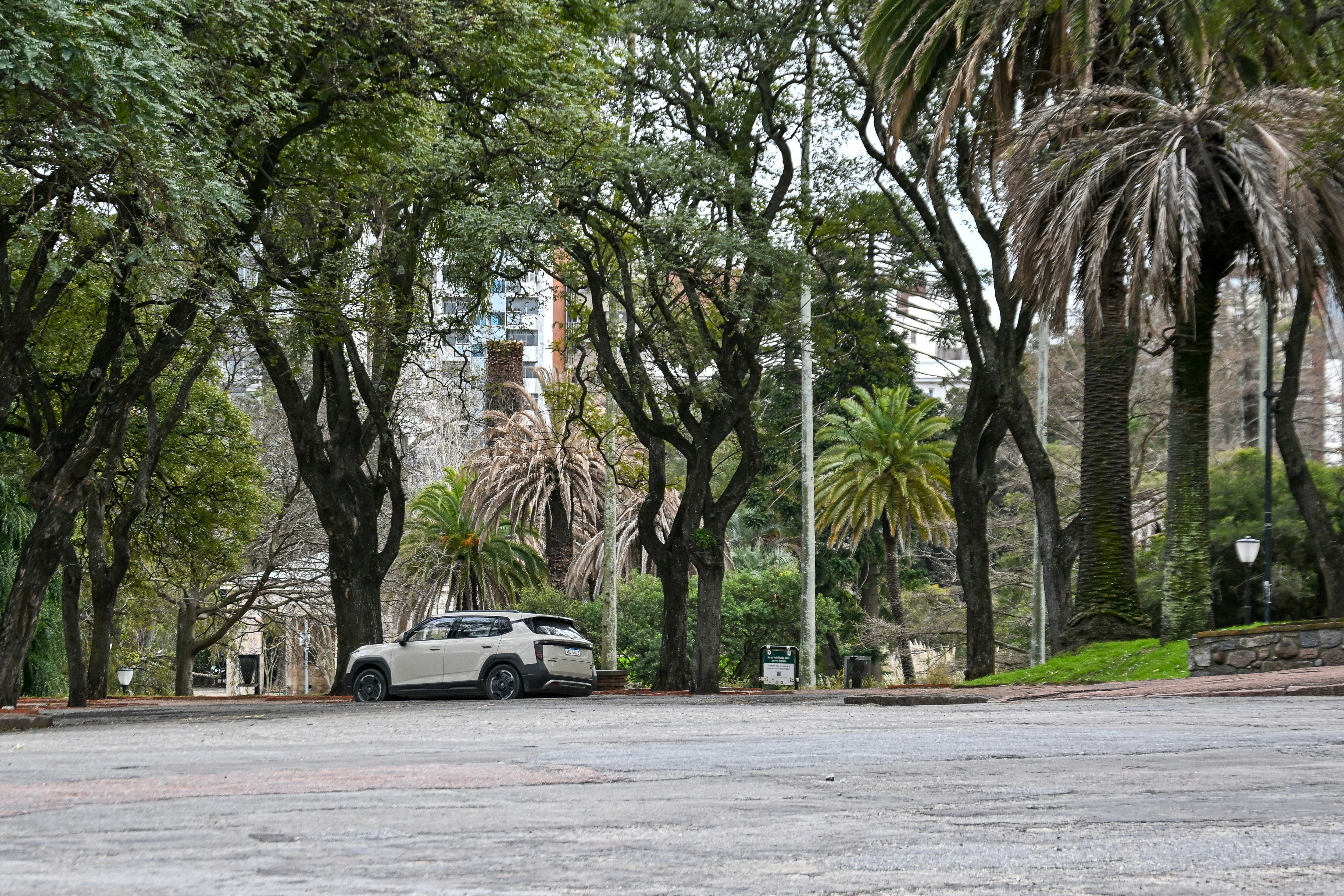 A beige SUV parked on a paved road beneath tall trees in a park