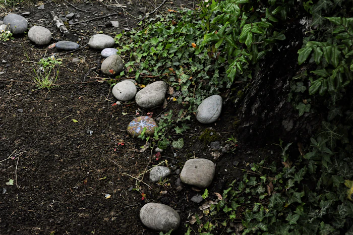 Landscape Curbing & Edging in Orange Park, FL