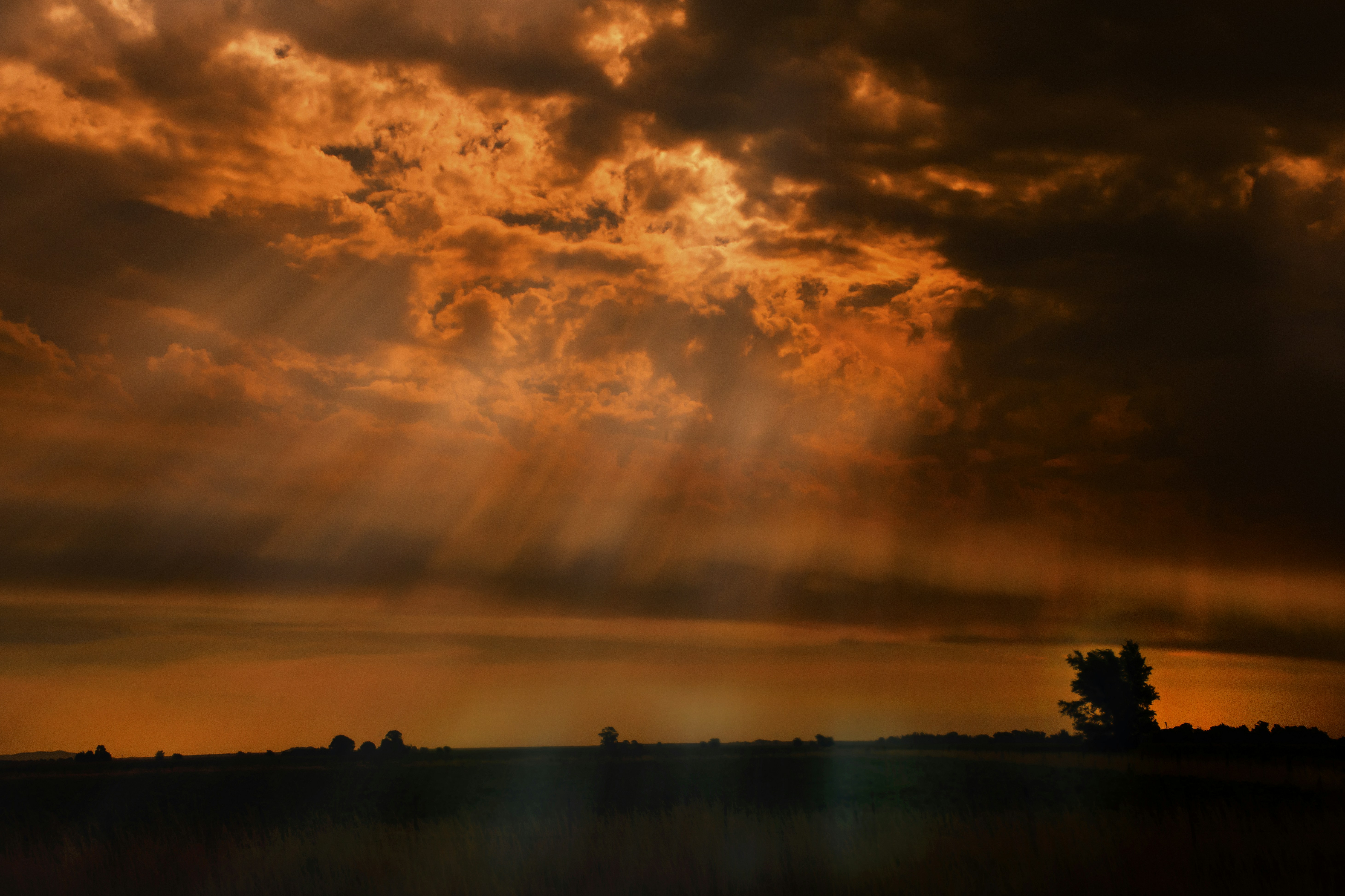 Sunlight streaming through dark clouds over a flat landscape with a lone tree