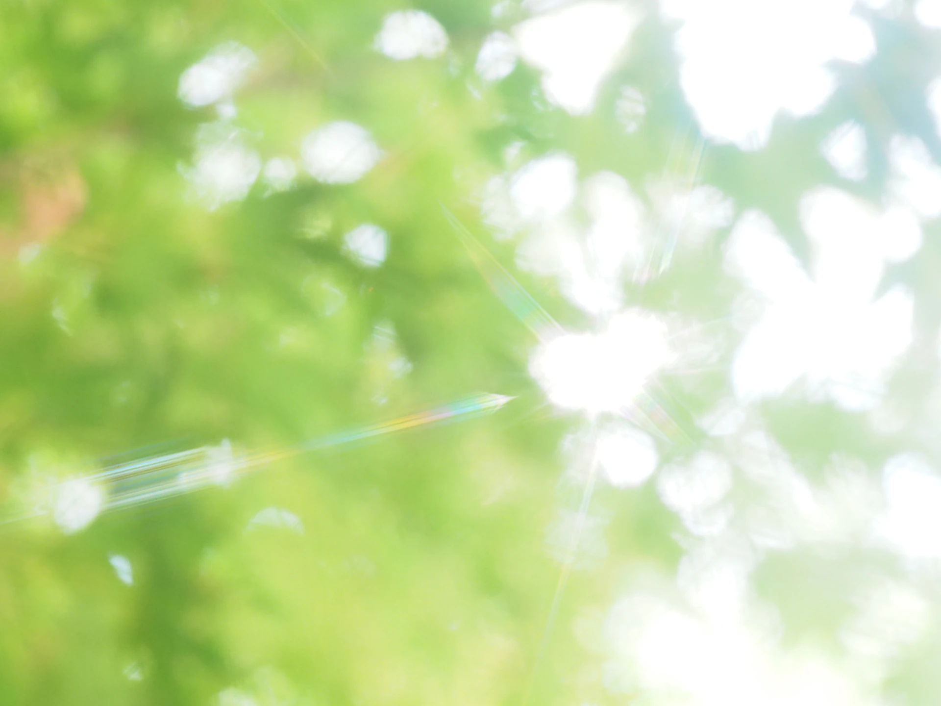 Sunlight filtering through green leaves with a bright lens flare