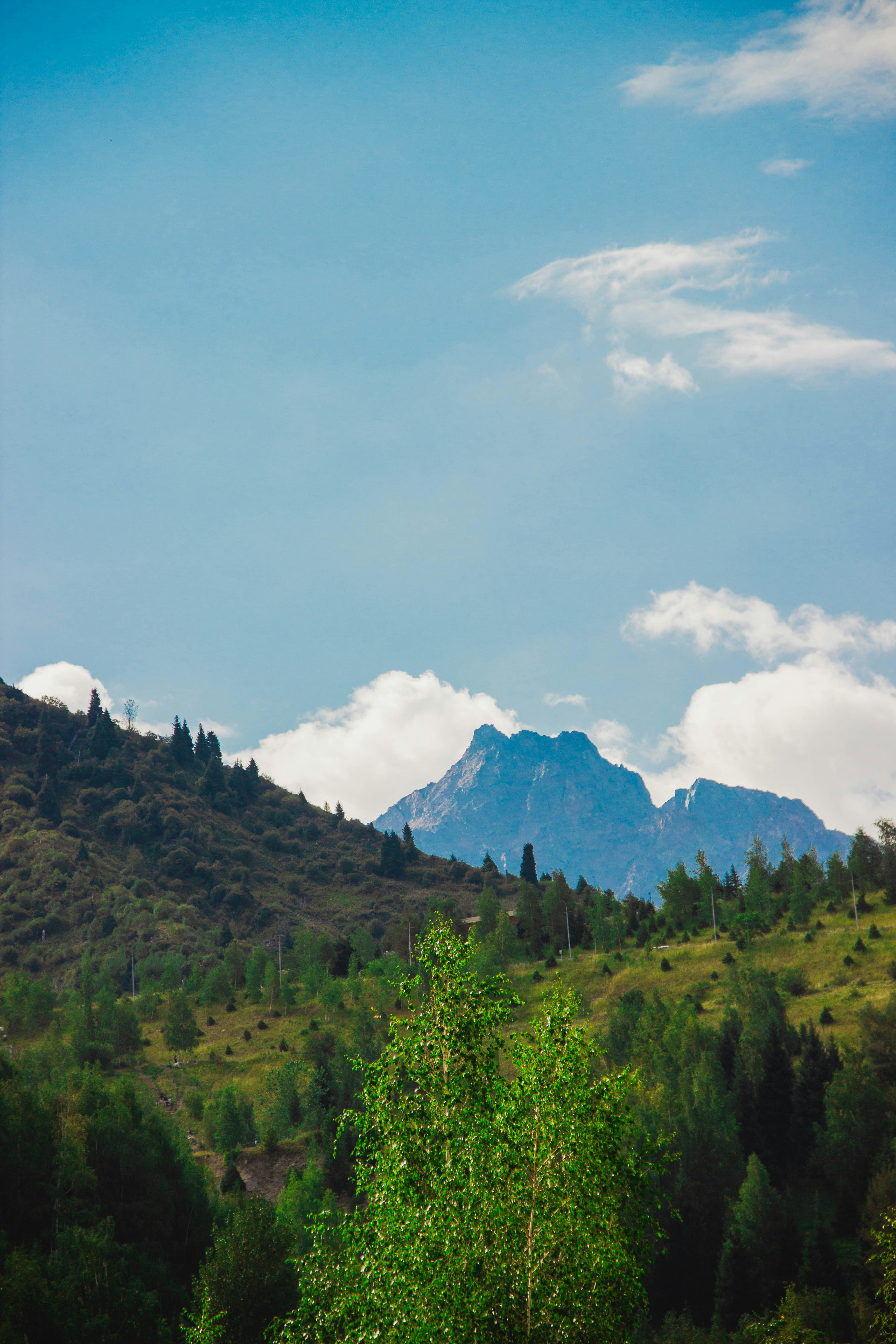 A jagged mountain peak rising above a green hillside with scattered trees