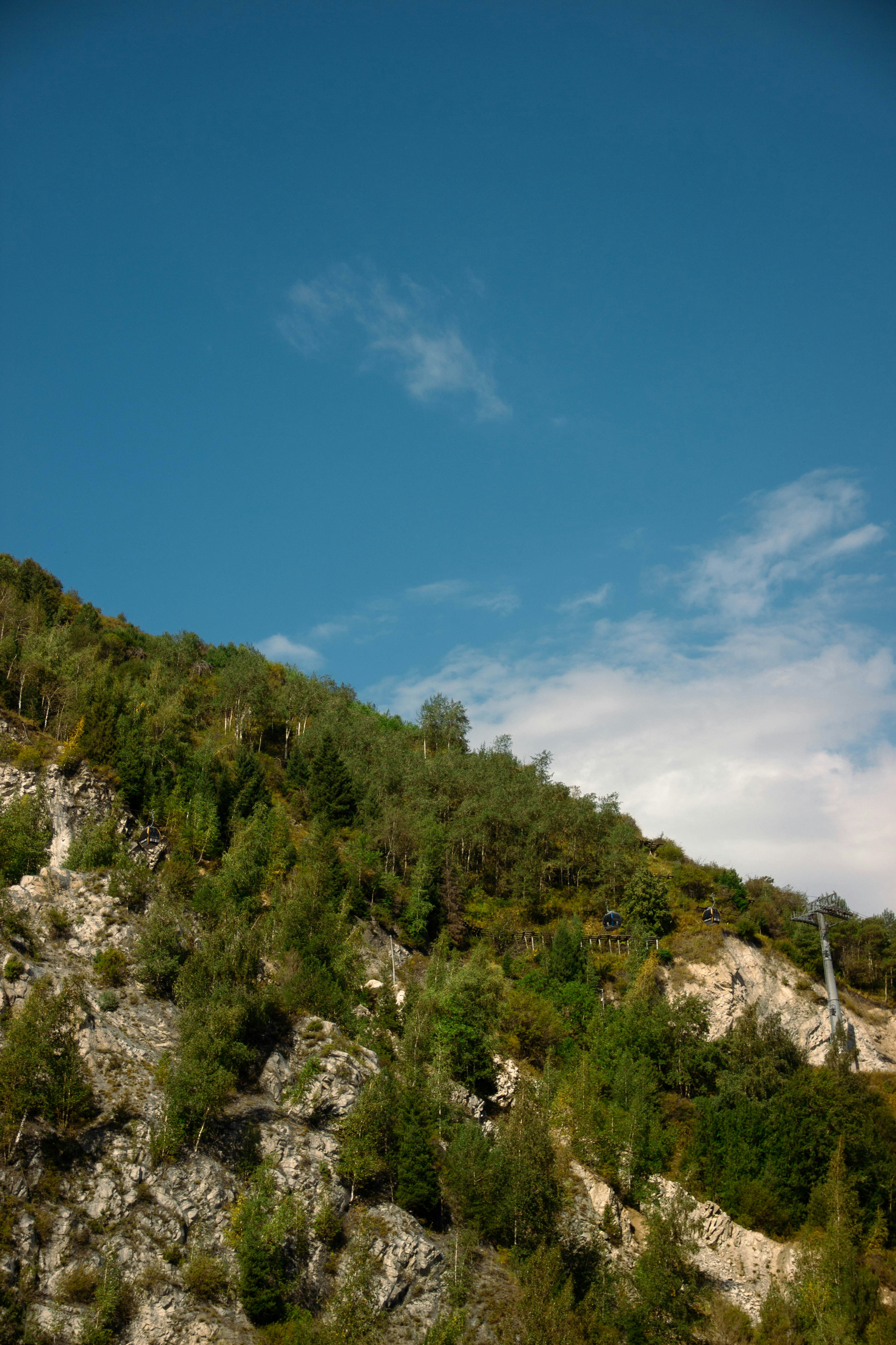 A steep rocky hillside covered in green trees under a clear blue sky