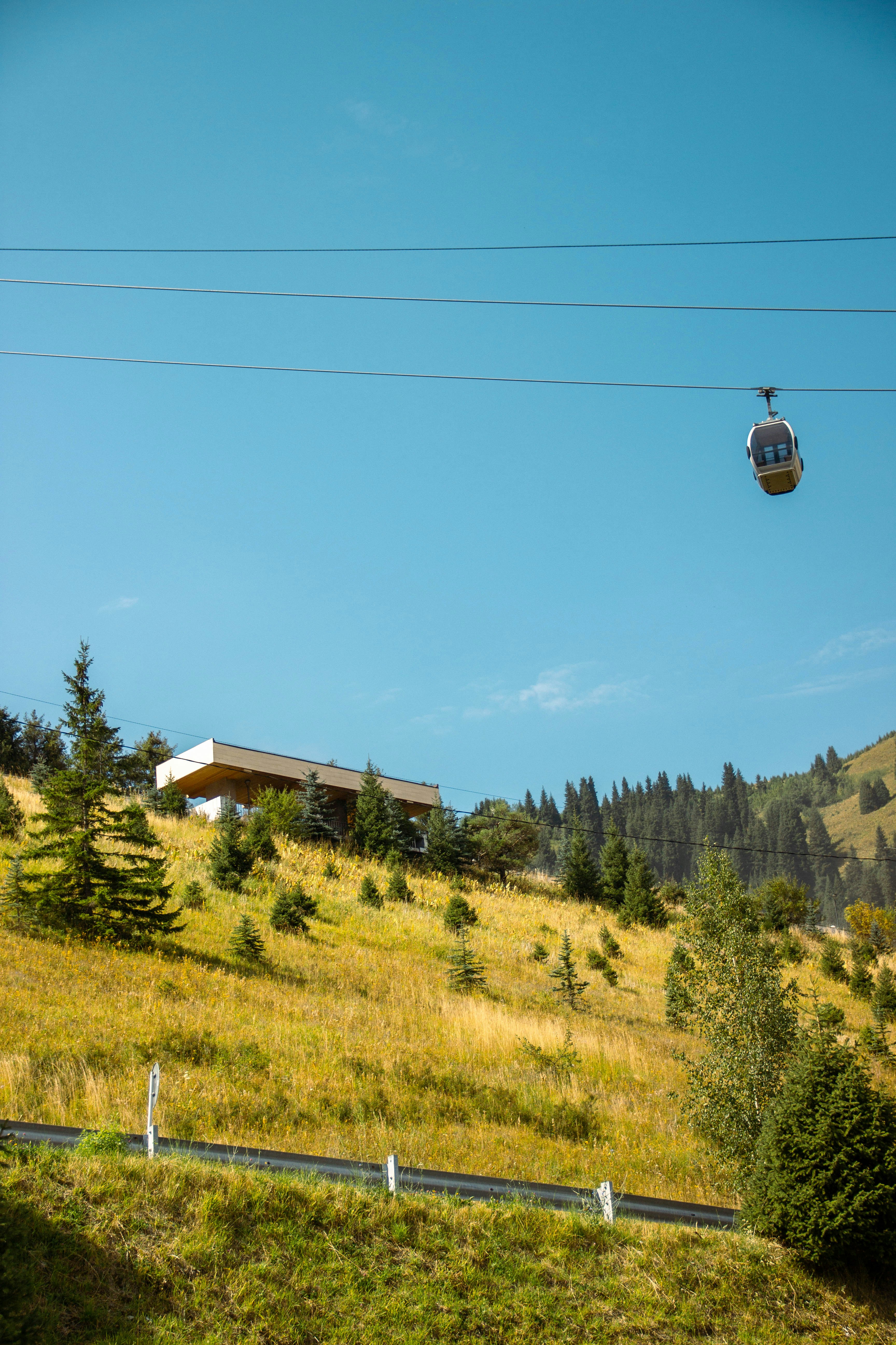 A cable car moving along wires above a grassy mountain slope with pine trees