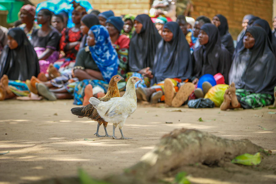 A seated group listening at a village meeting
