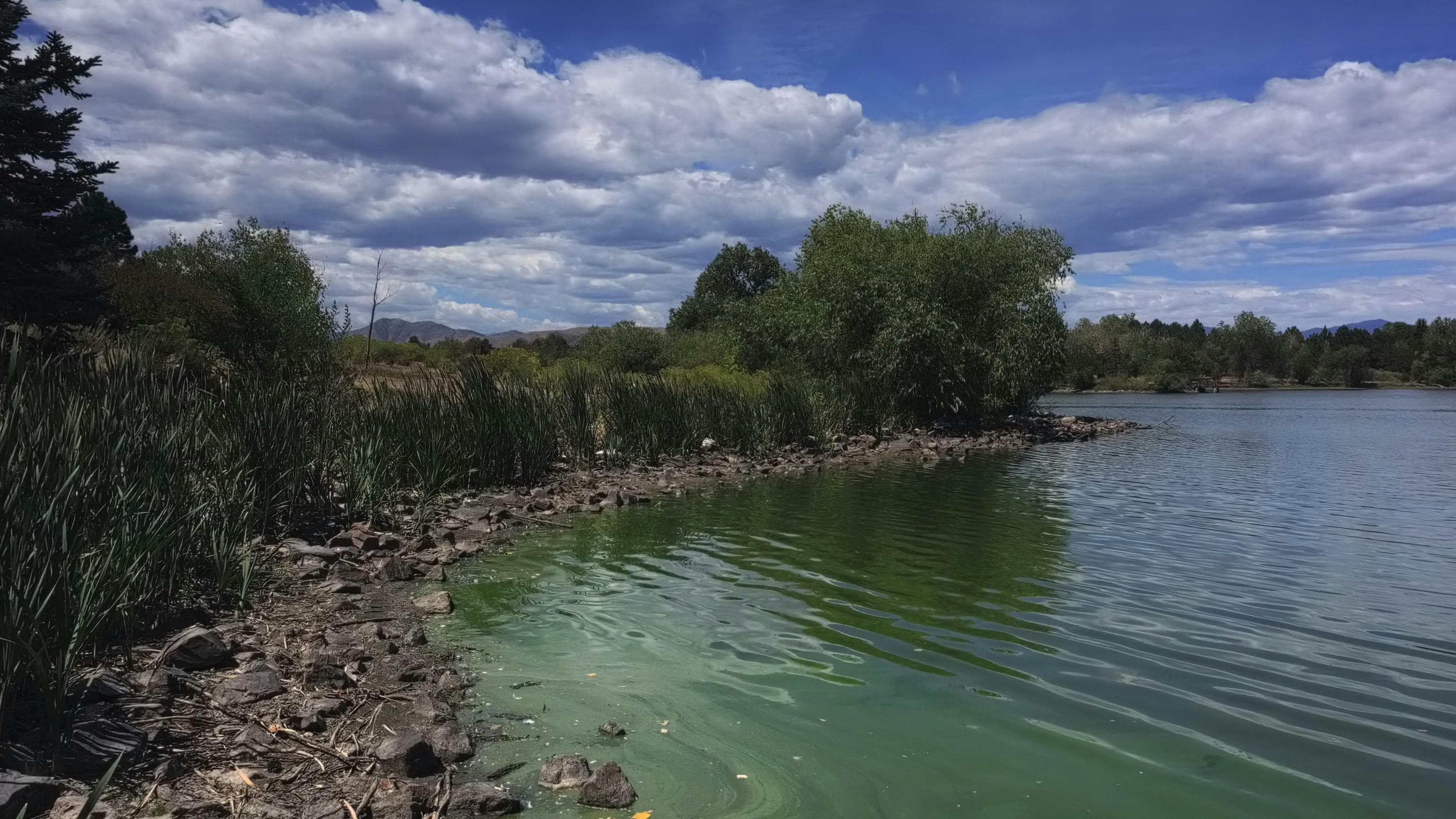 Camping Le Calatrin — Paladru