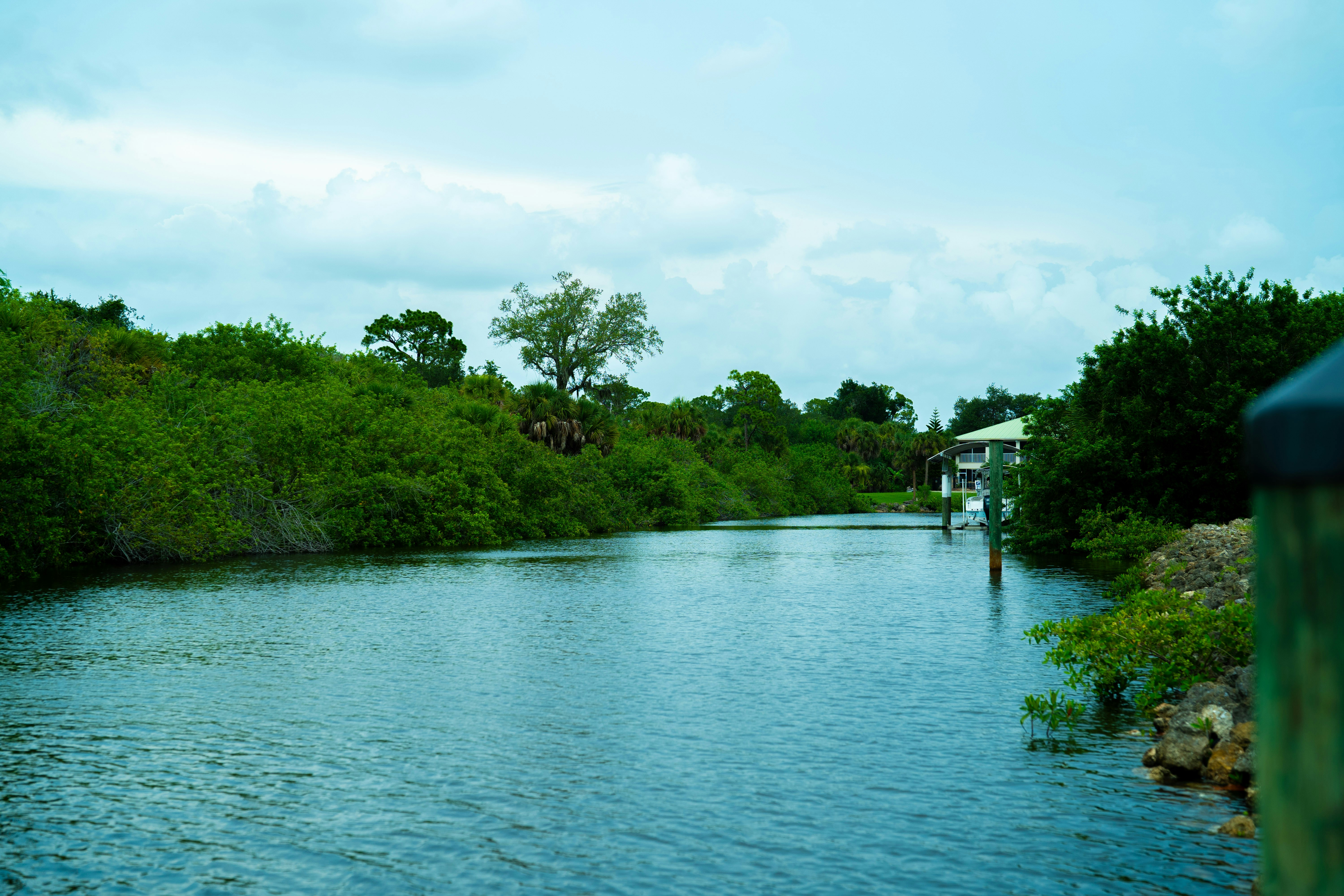 A narrow waterway lined with dense green trees and shrubs under a cloudy sky