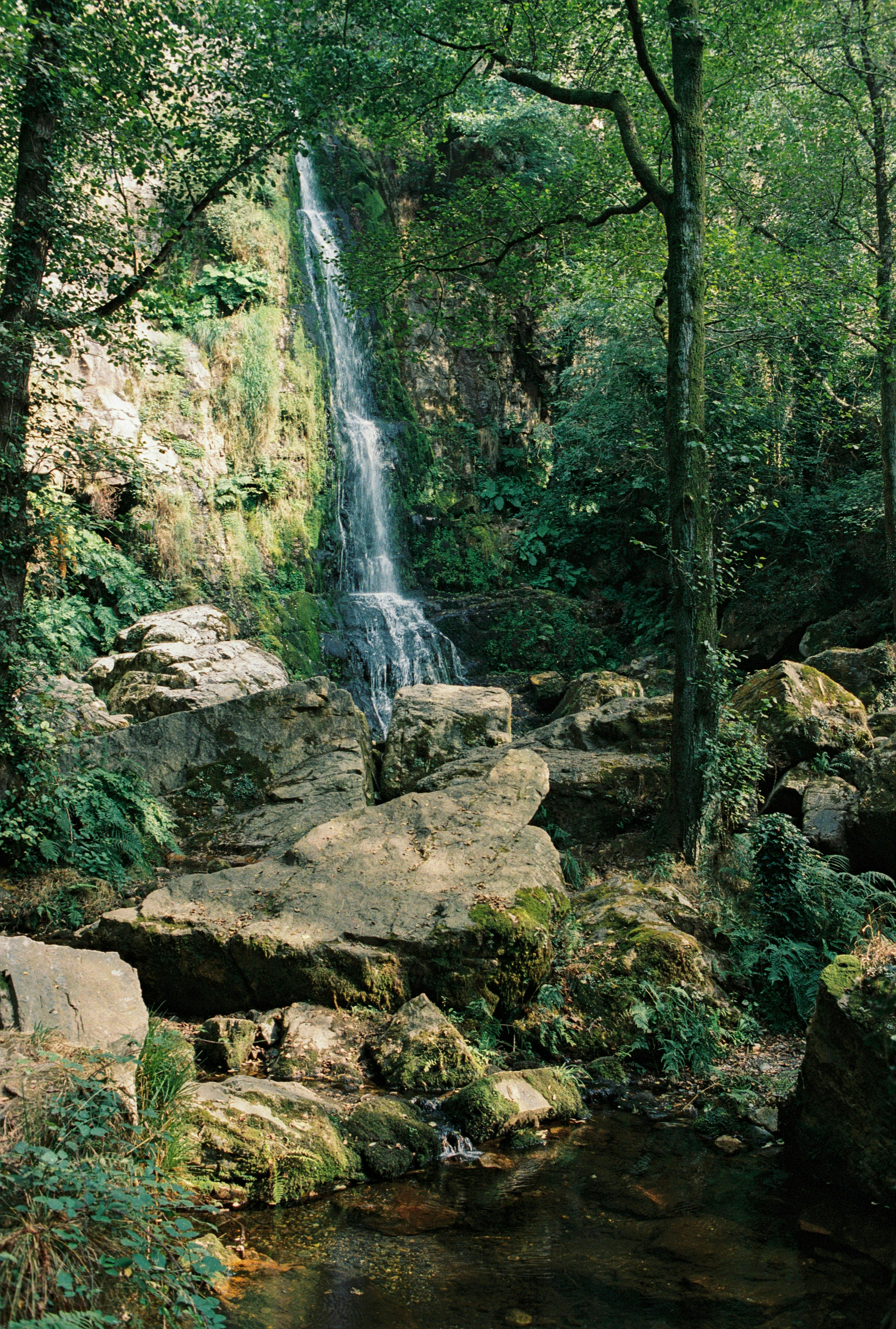 A waterfall cascading down a rocky cliff face surrounded by lush green forest