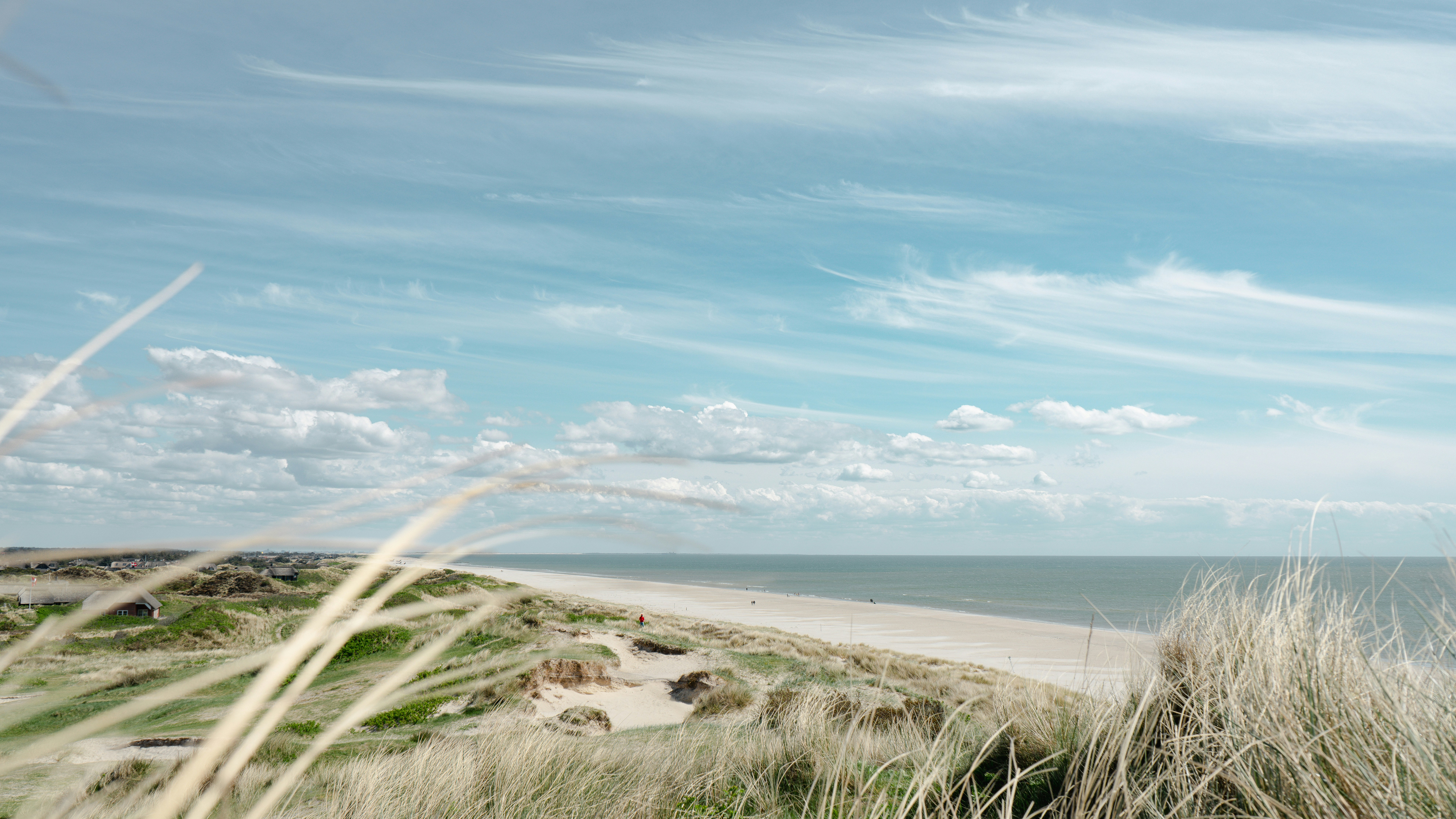 Grassy sand dunes overlooking a wide sandy beach and the ocean under a blue sky