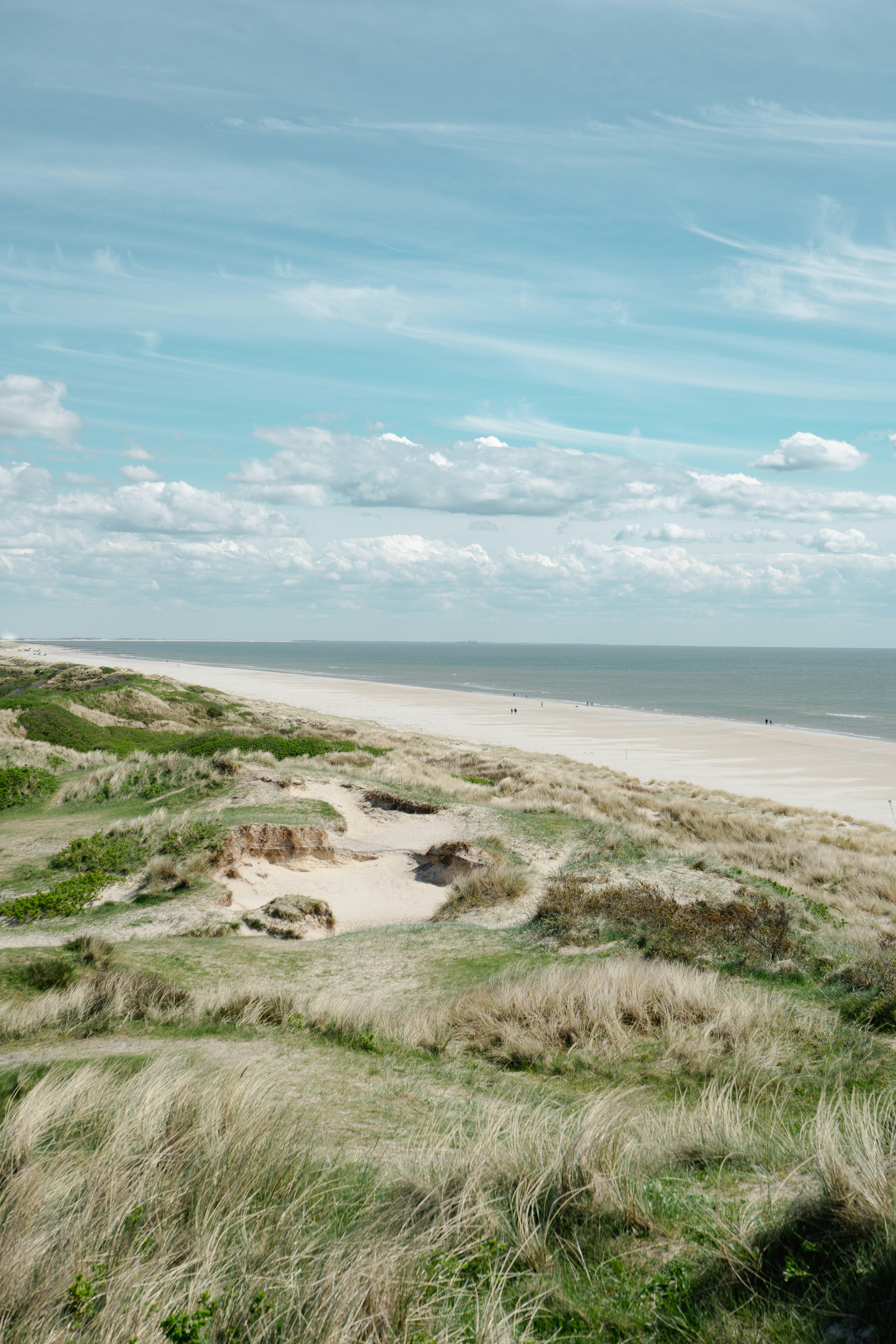 Sand dunes with tall grass overlooking a wide sandy beach and the ocean