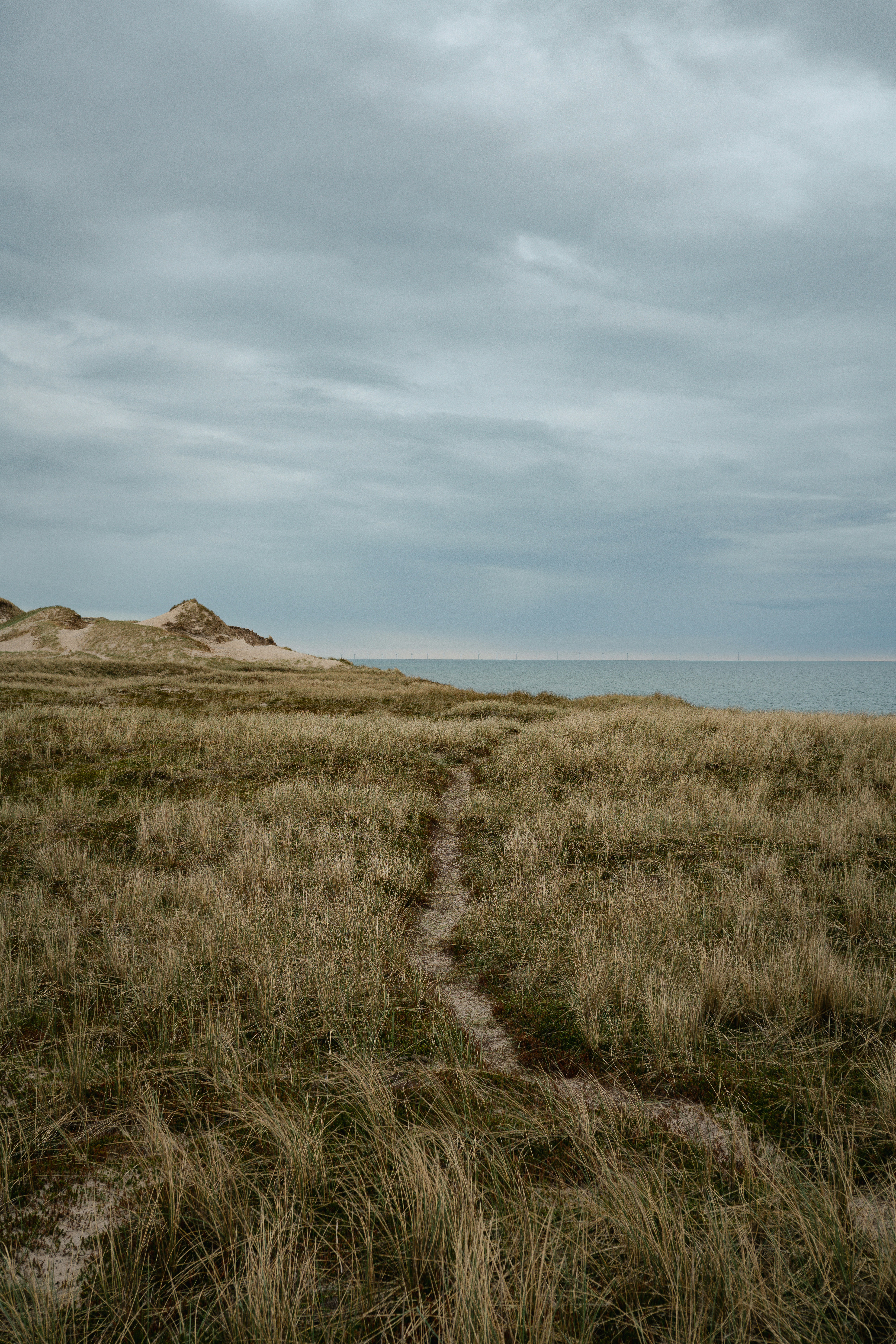 A narrow dirt path through tall dry grass toward the sea under cloudy skies