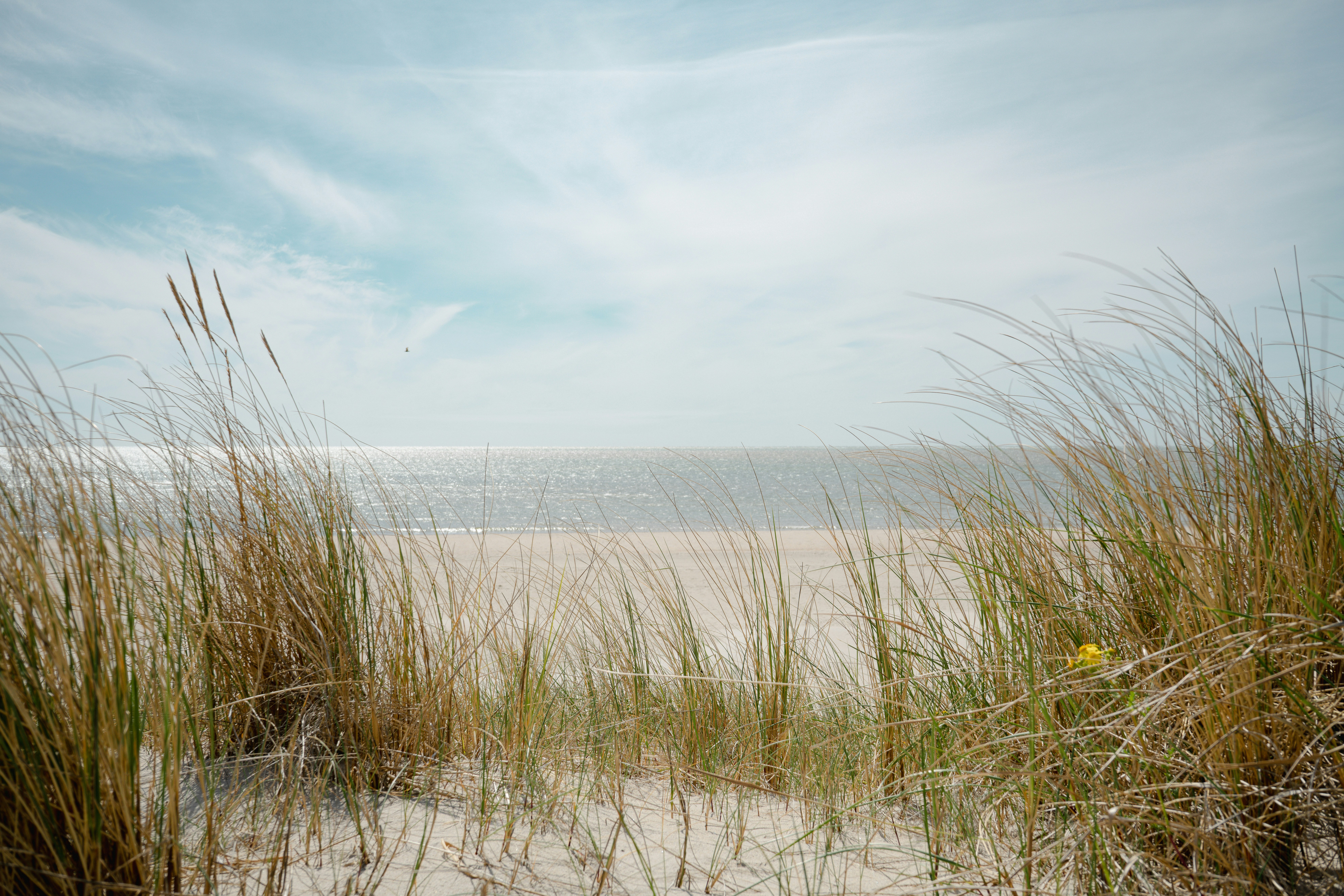 Blåvand & the west coast, Denmark