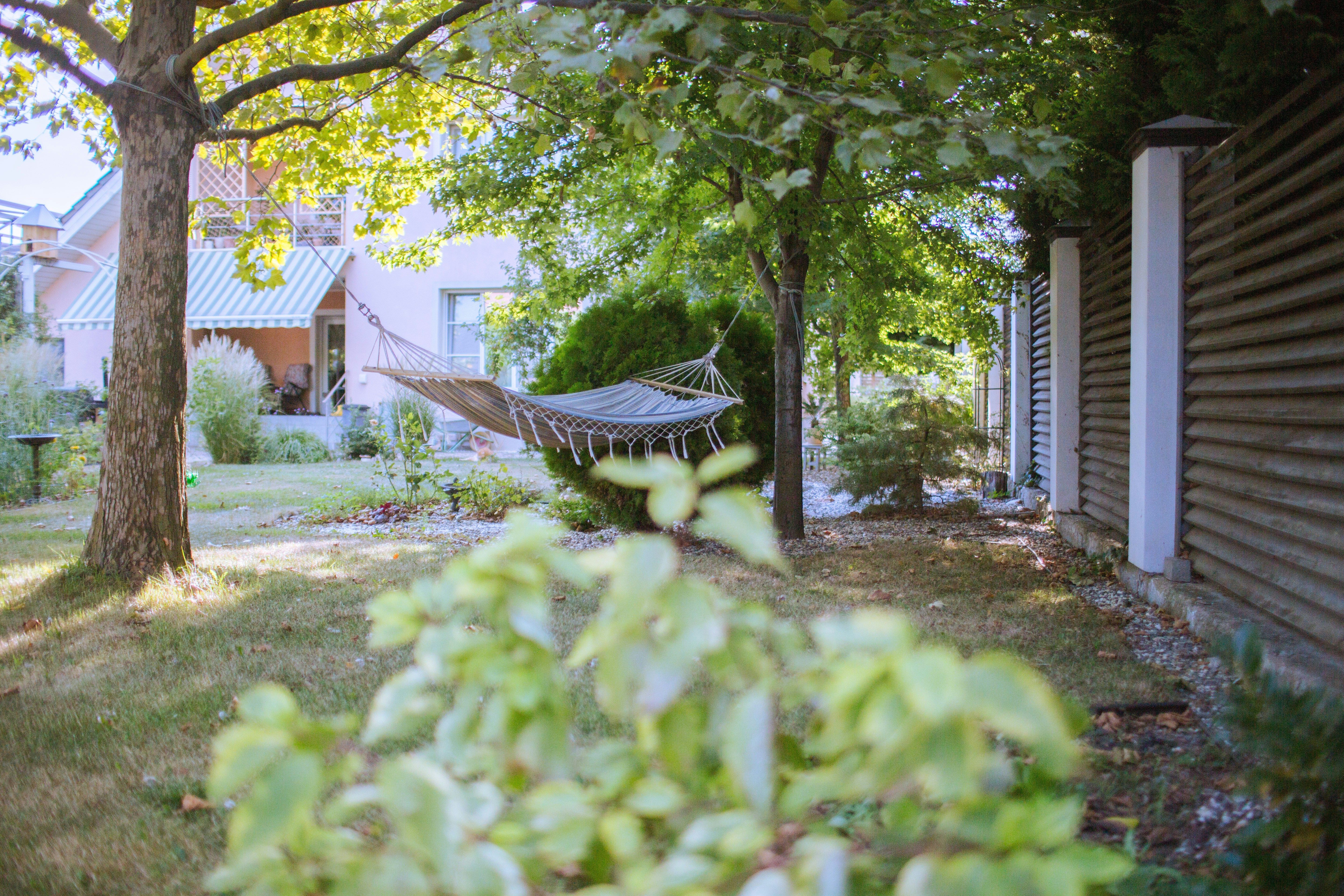 A hammock suspended between trees in a sunlit garden with a house