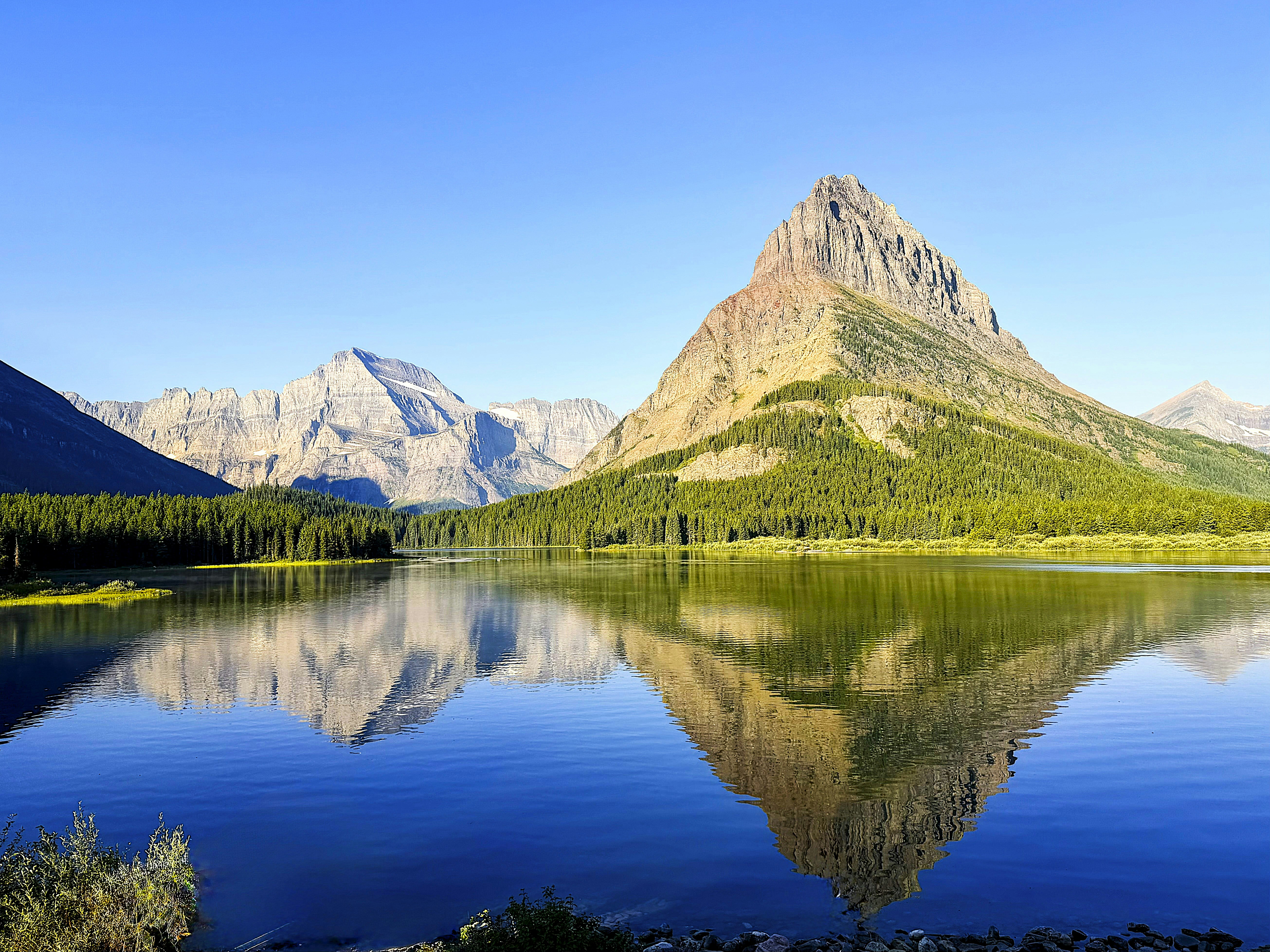 A mountain reflecting in a calm lake with a dense pine forest