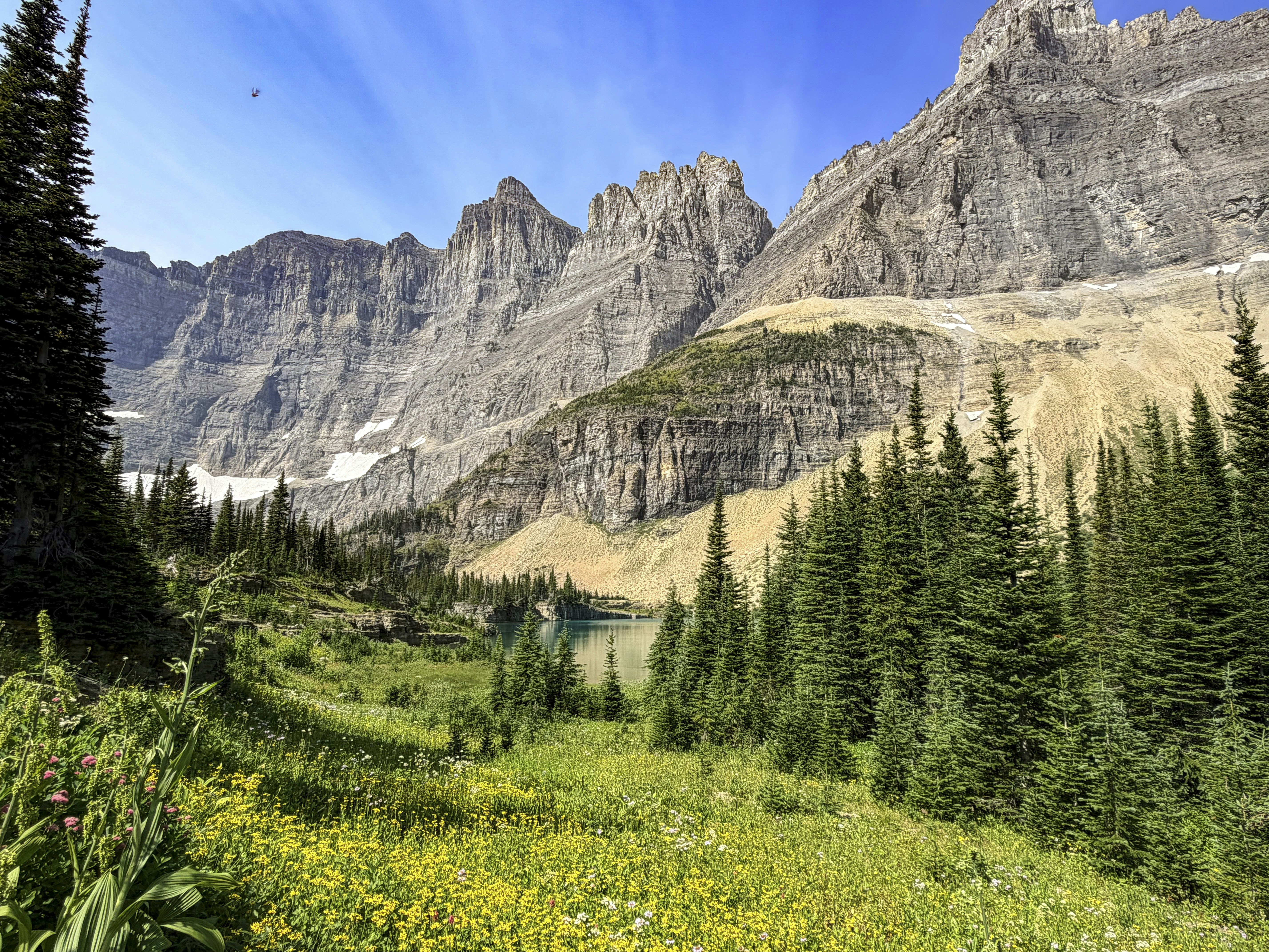 A mountain lake surrounded by pine trees and a meadow of yellow wildflowers