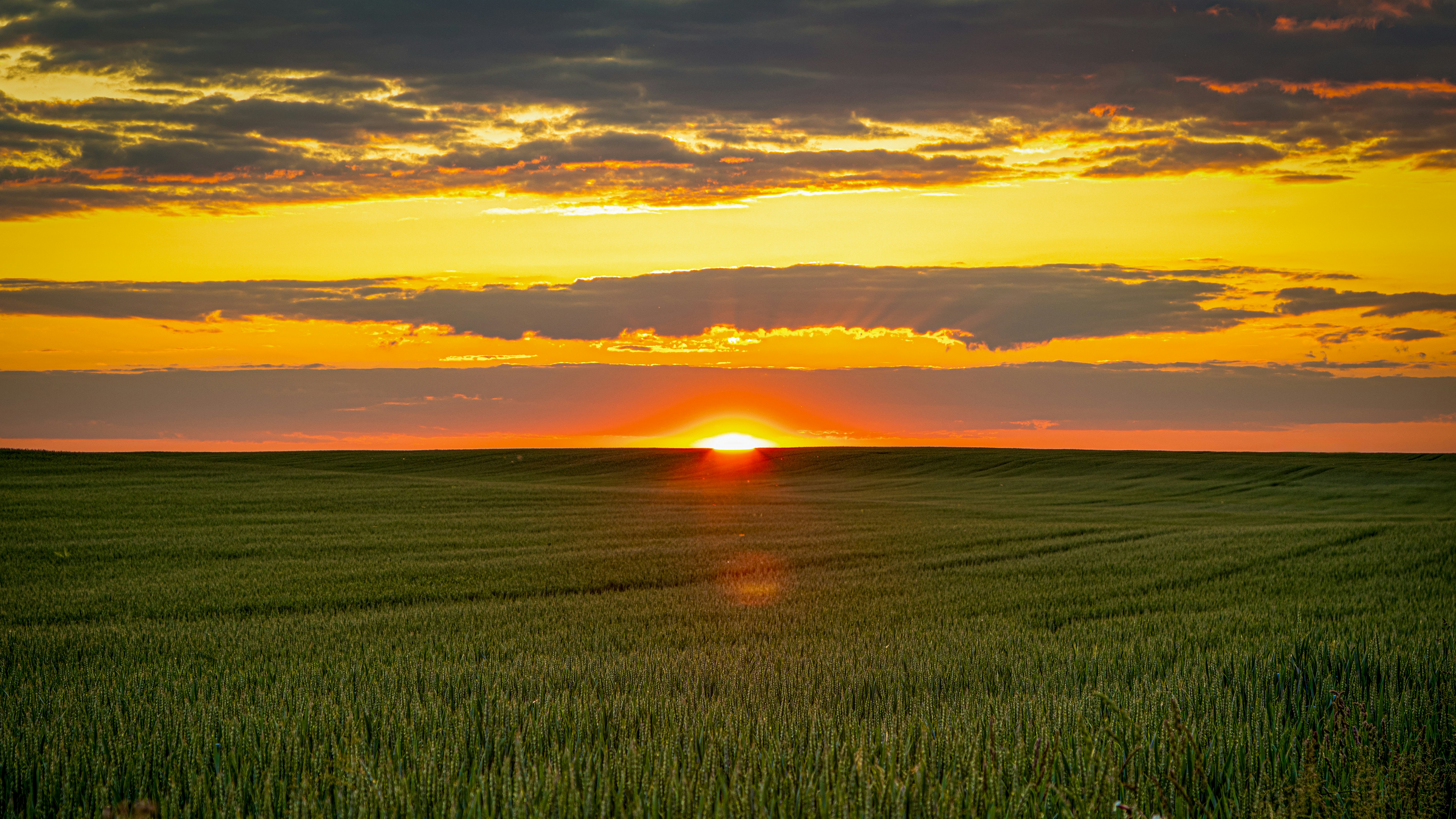 Low sun on the horizon above a vast green field under a cloudy sky
