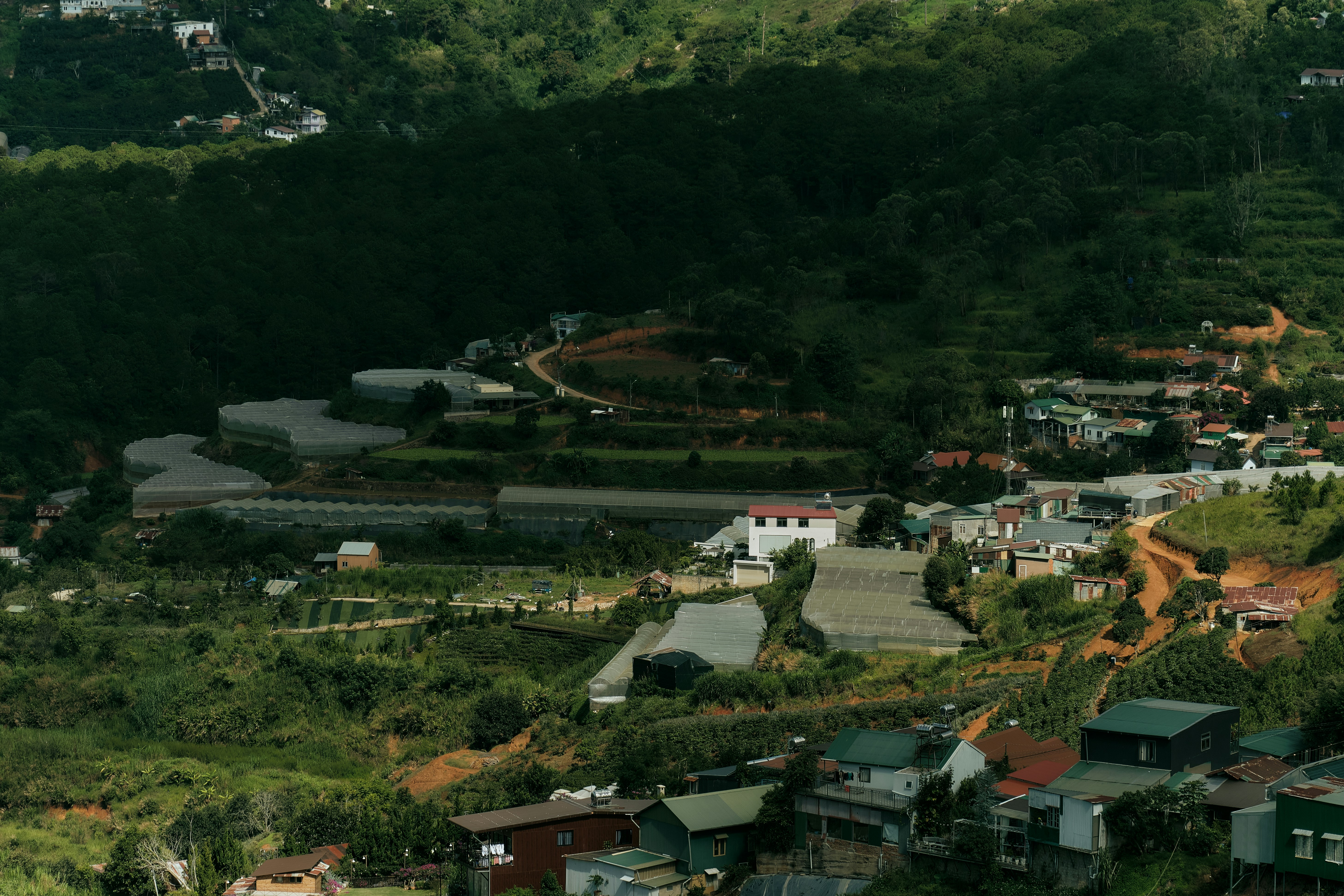 A hillside village with greenhouses and houses nestled among dense green trees