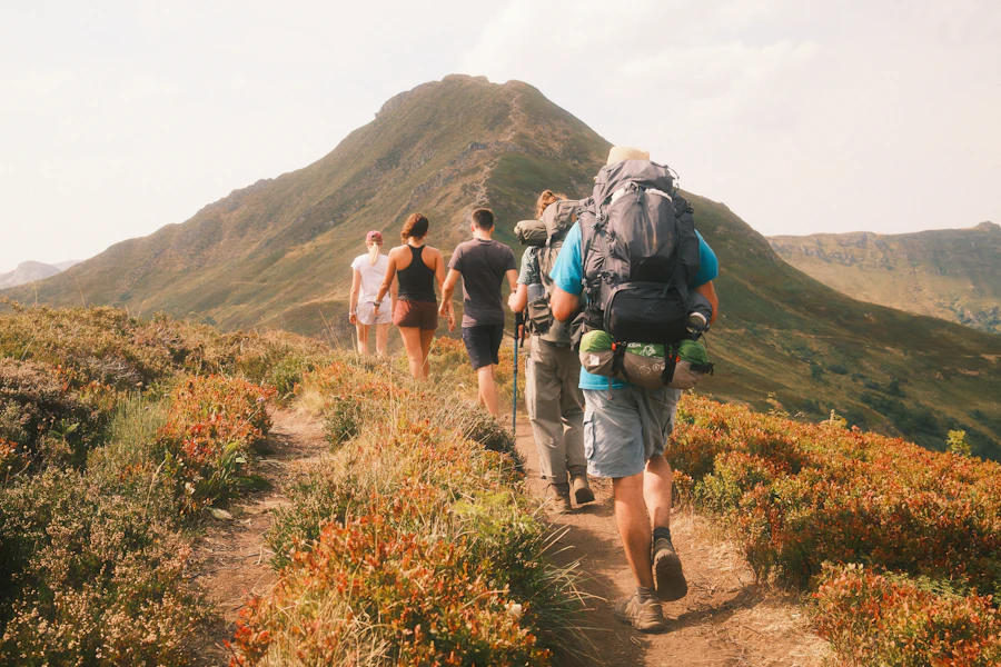 Gruppe auf einer Bergwanderung