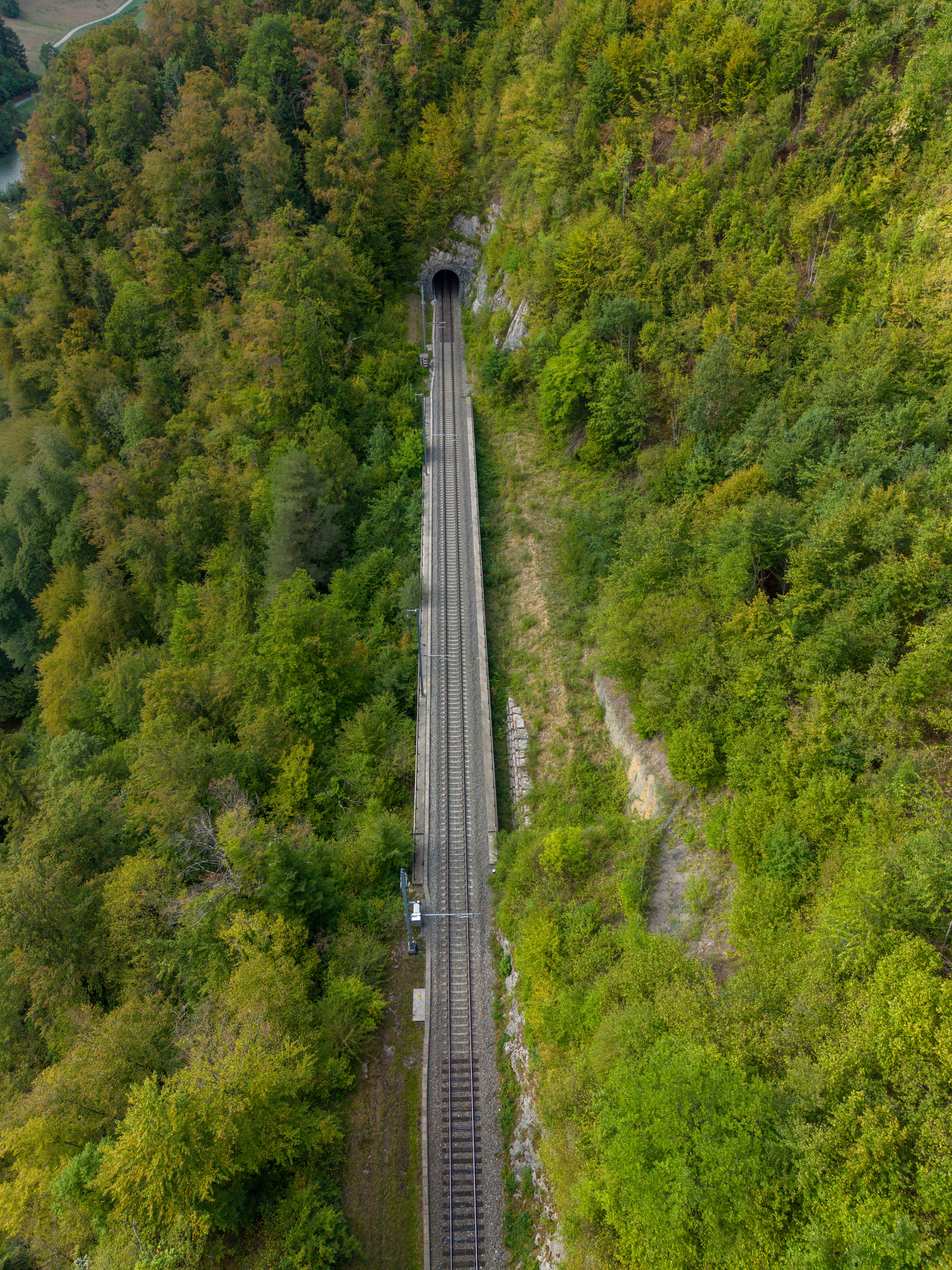 A railway track leading into a tunnel through a dense green forest