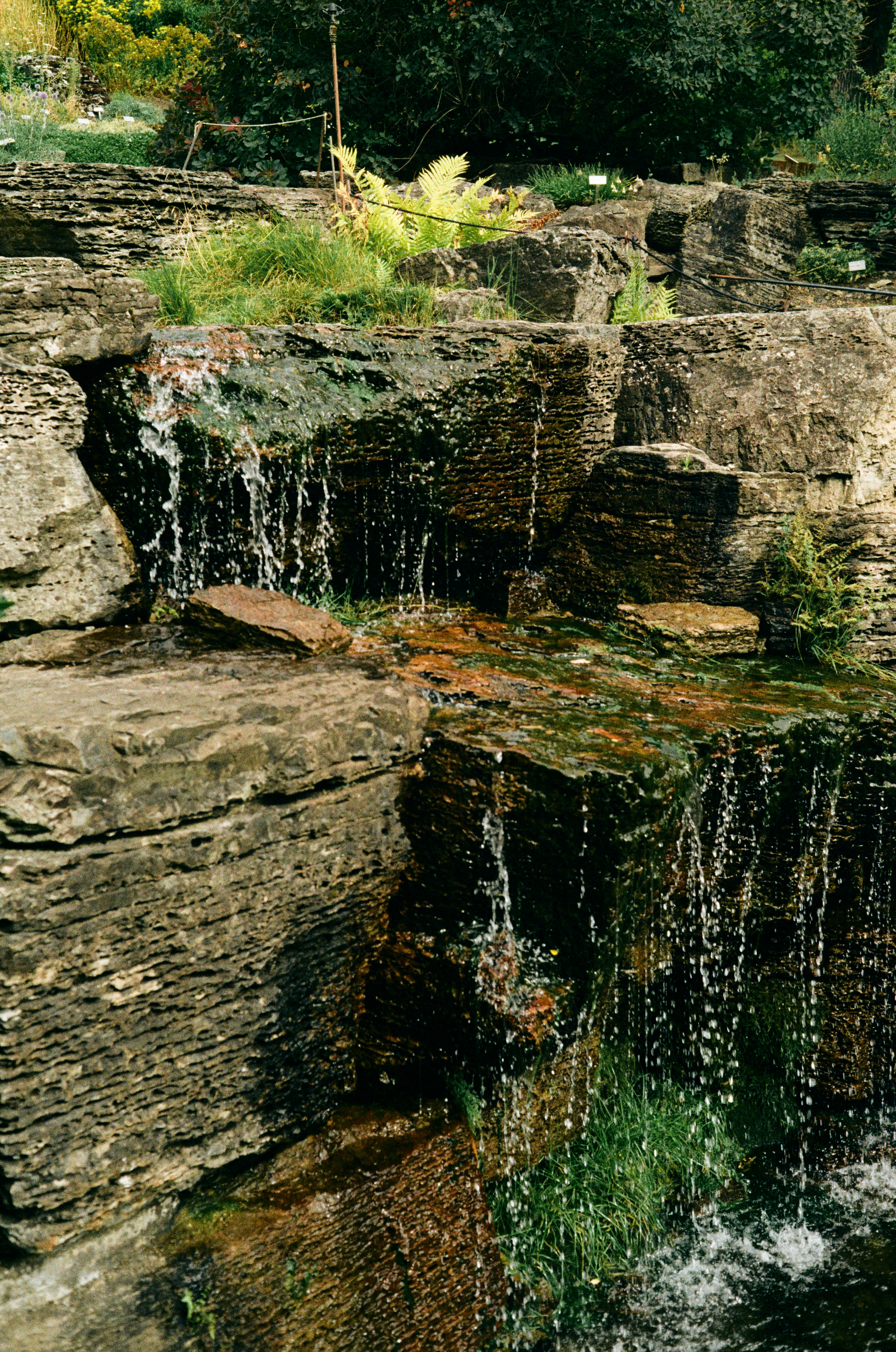 Water cascading over layered dark rocks in a lush garden setting