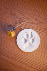 A white clay paw print disc beside a dried flower on a wooden surface