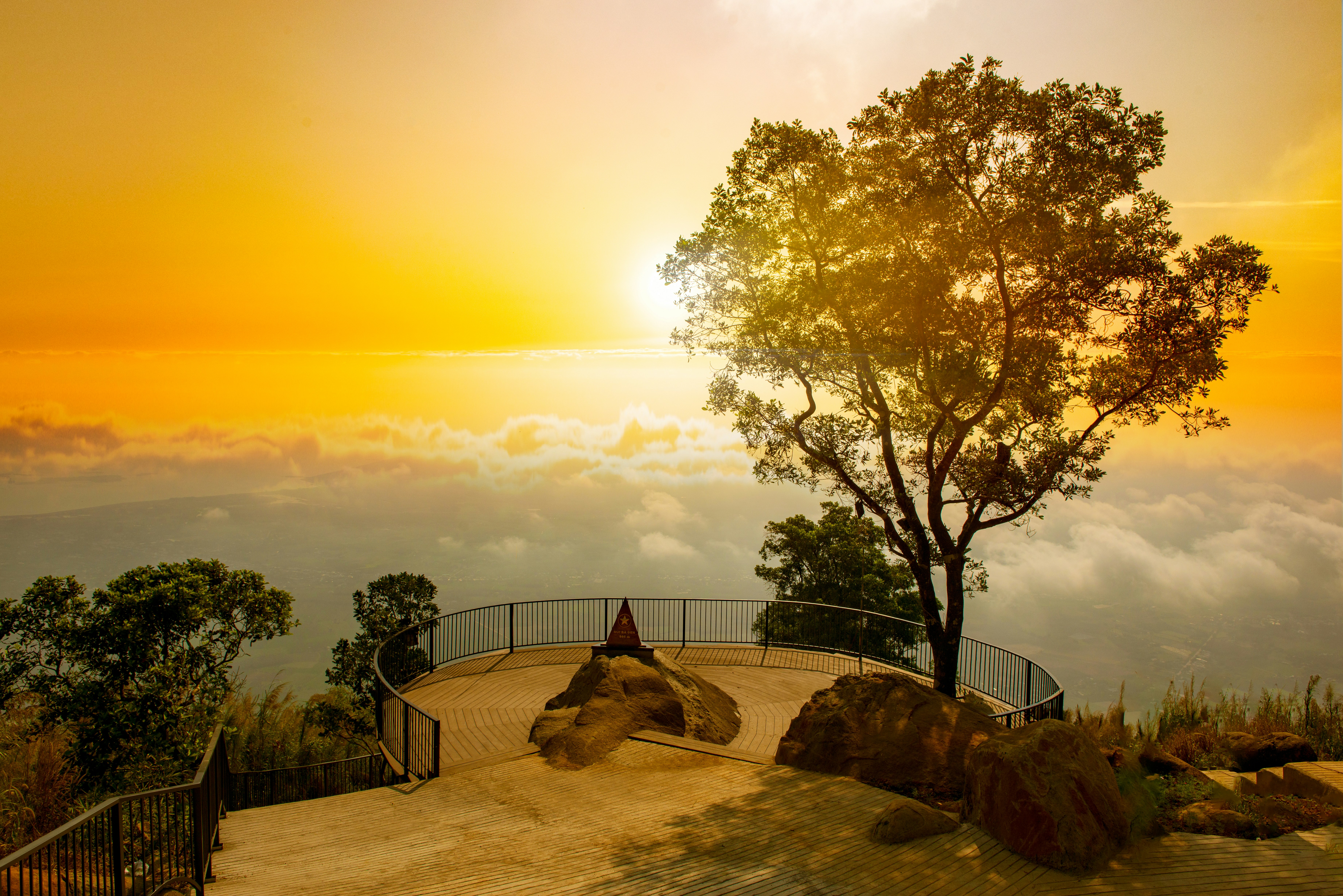 A tree on a wooden observation deck above clouds in warm golden light