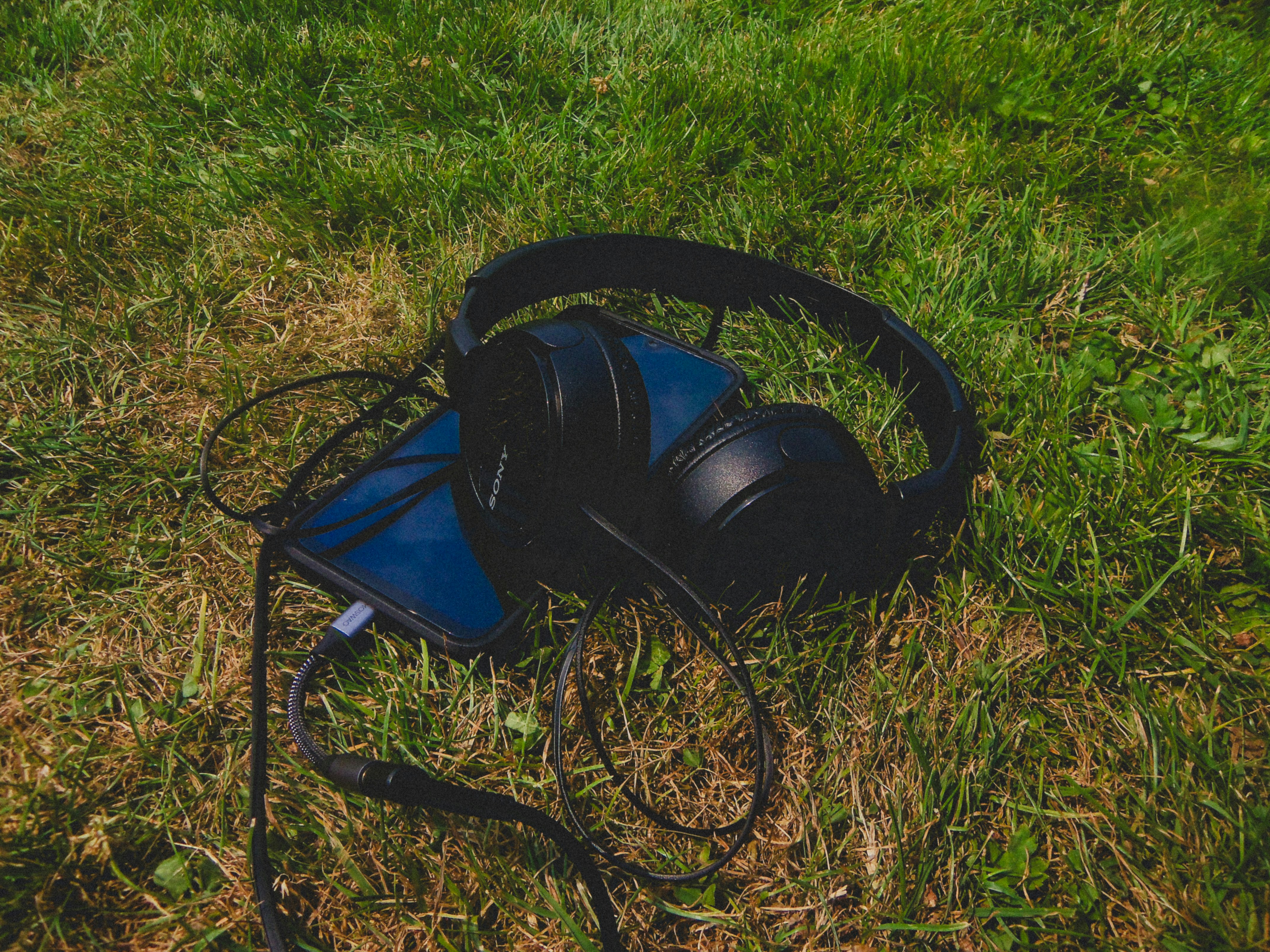 Black headphones and a smartphone connected by a cable on green grass