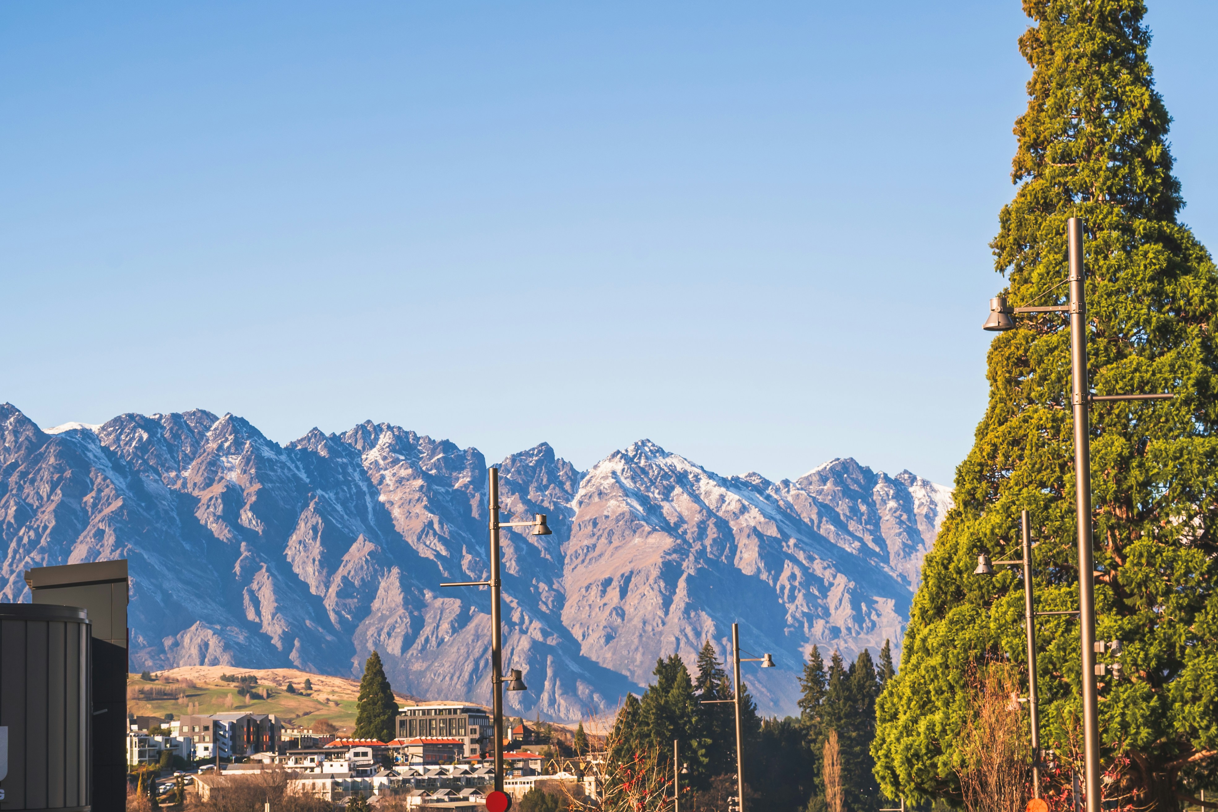 Snow-capped mountain range behind a town with tall evergreen trees and streetlights