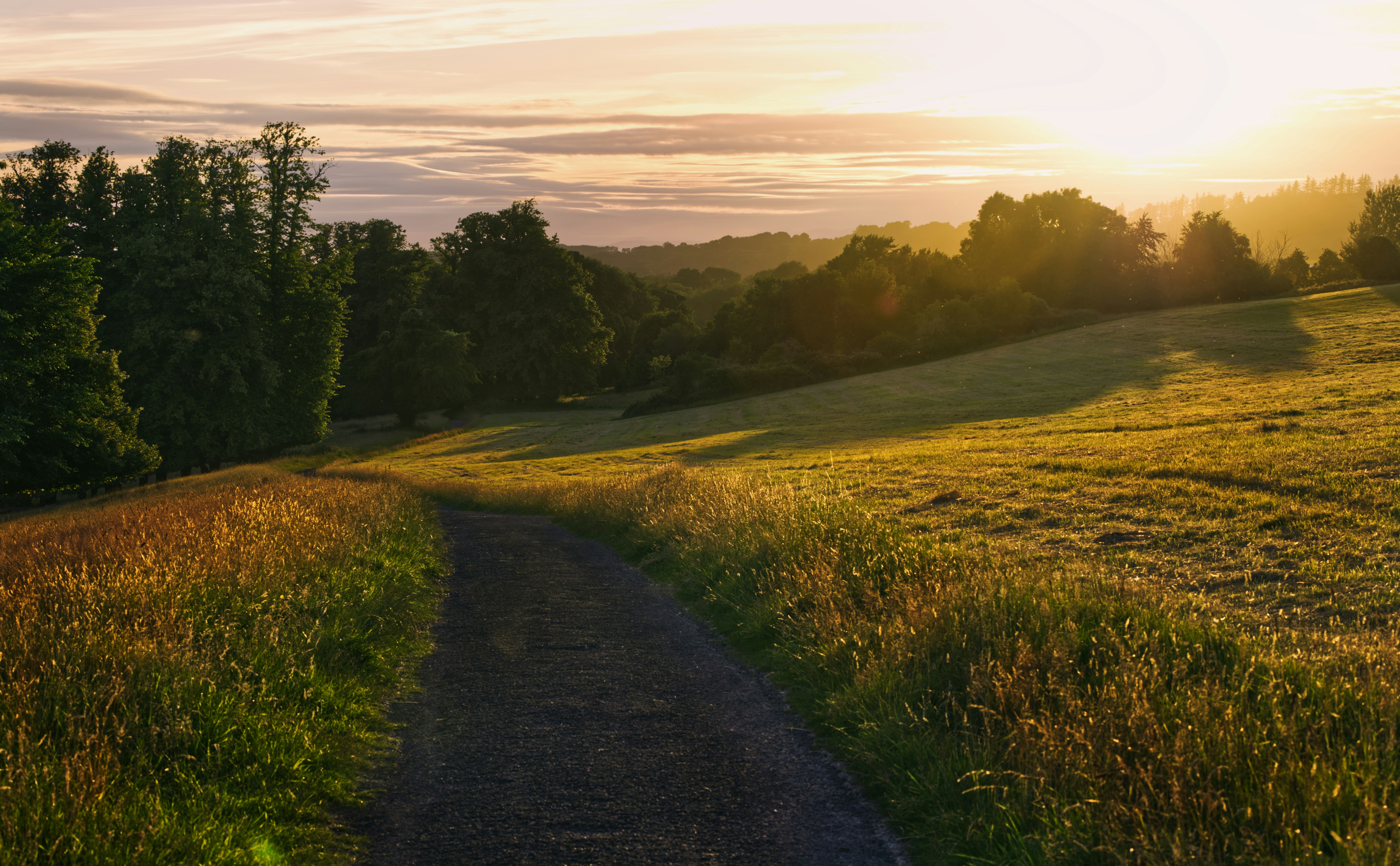 A dirt path winding through a grassy meadow under a warm golden sky