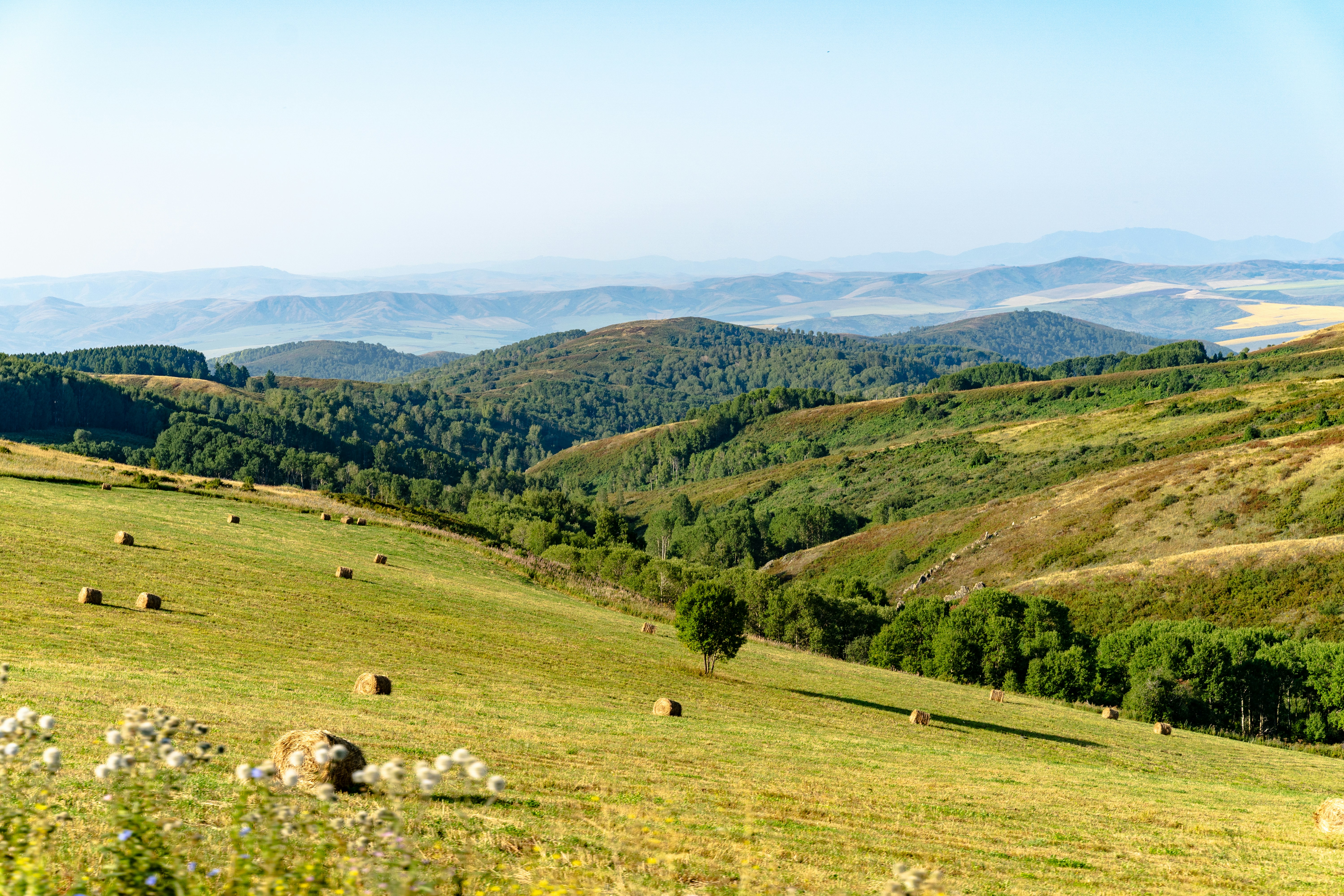 Hay bales scattered across a rolling green hillside with distant forested mountains