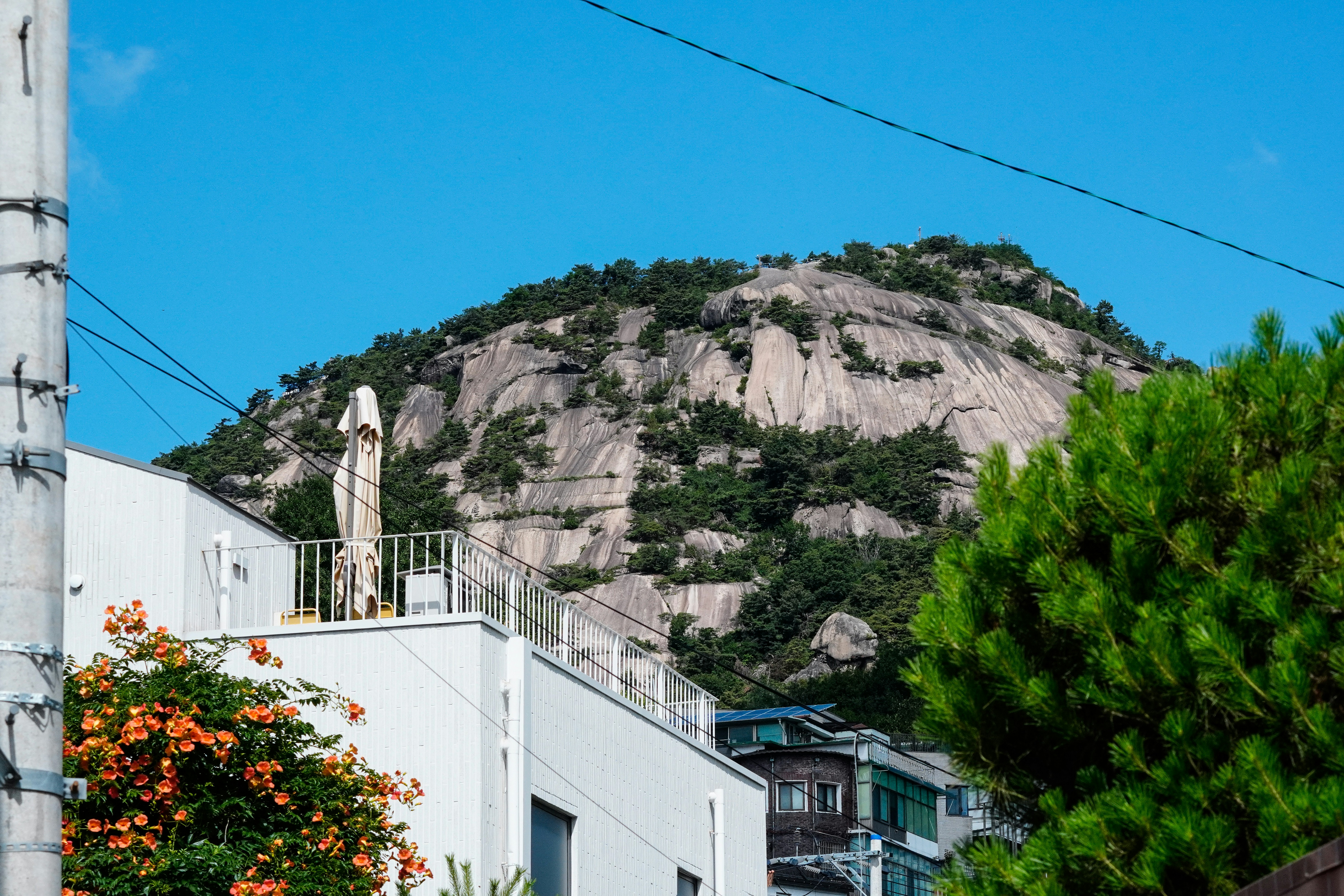 A large rocky mountain rising behind a white building with orange flowers