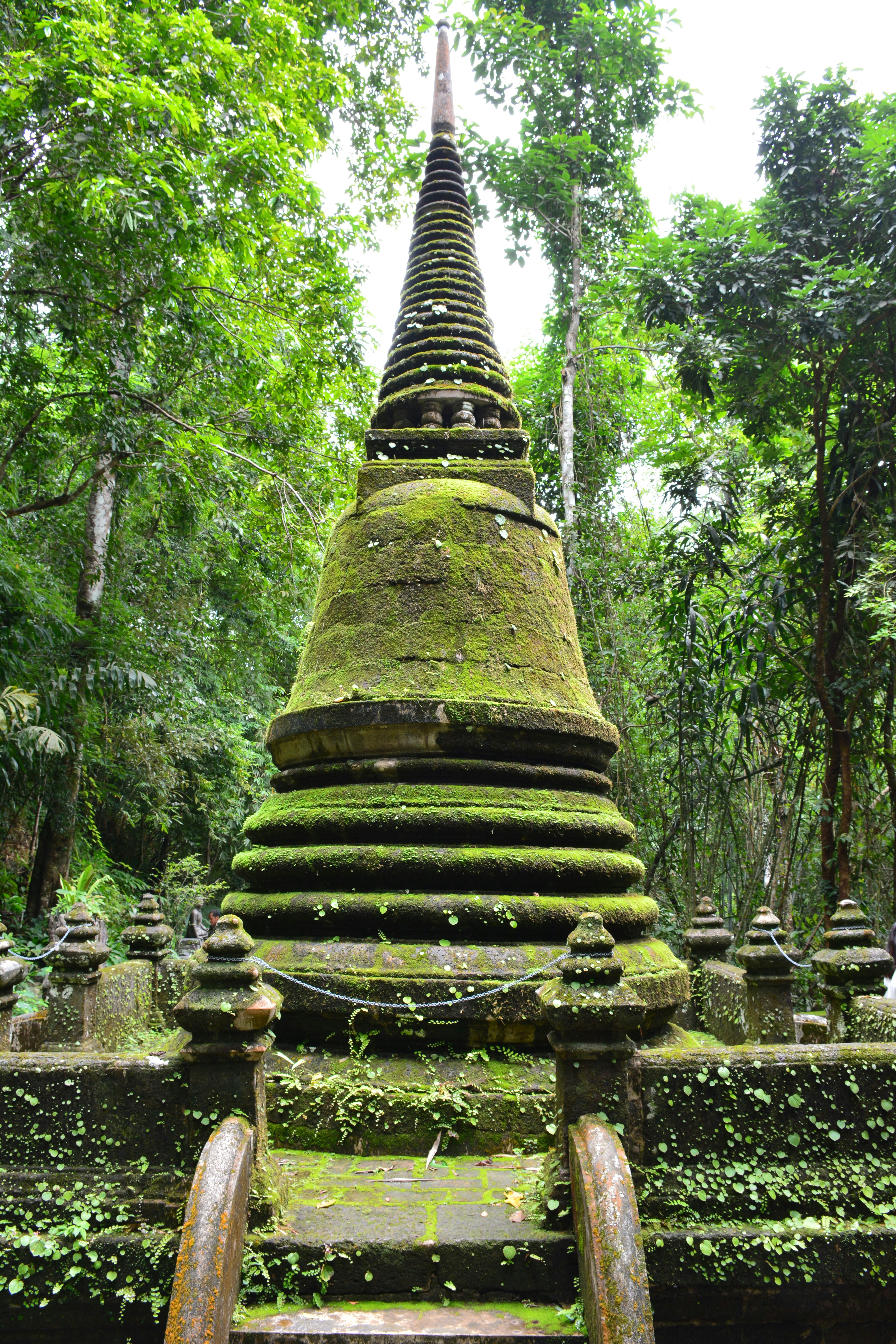 An old moss-covered stone chedi among tall forest trees