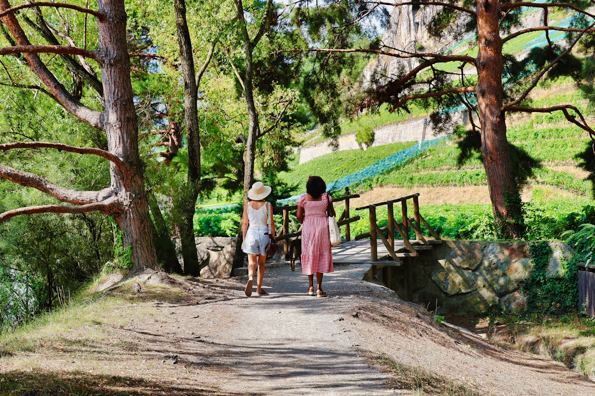 Two walkers on the path along the Dranse near Martigny-Croix, under pines with terraced vineyards beyond