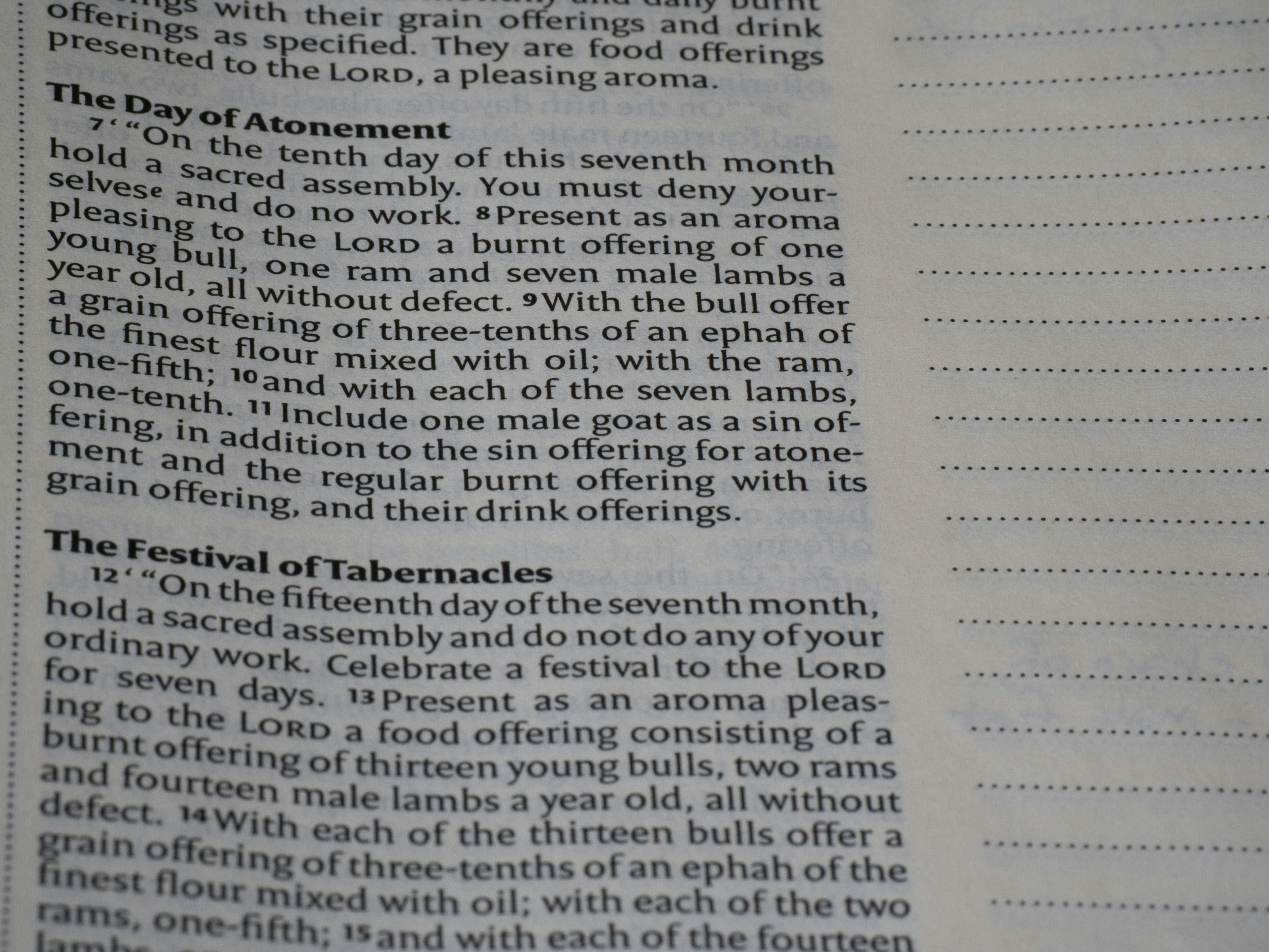 The Book of Numbers