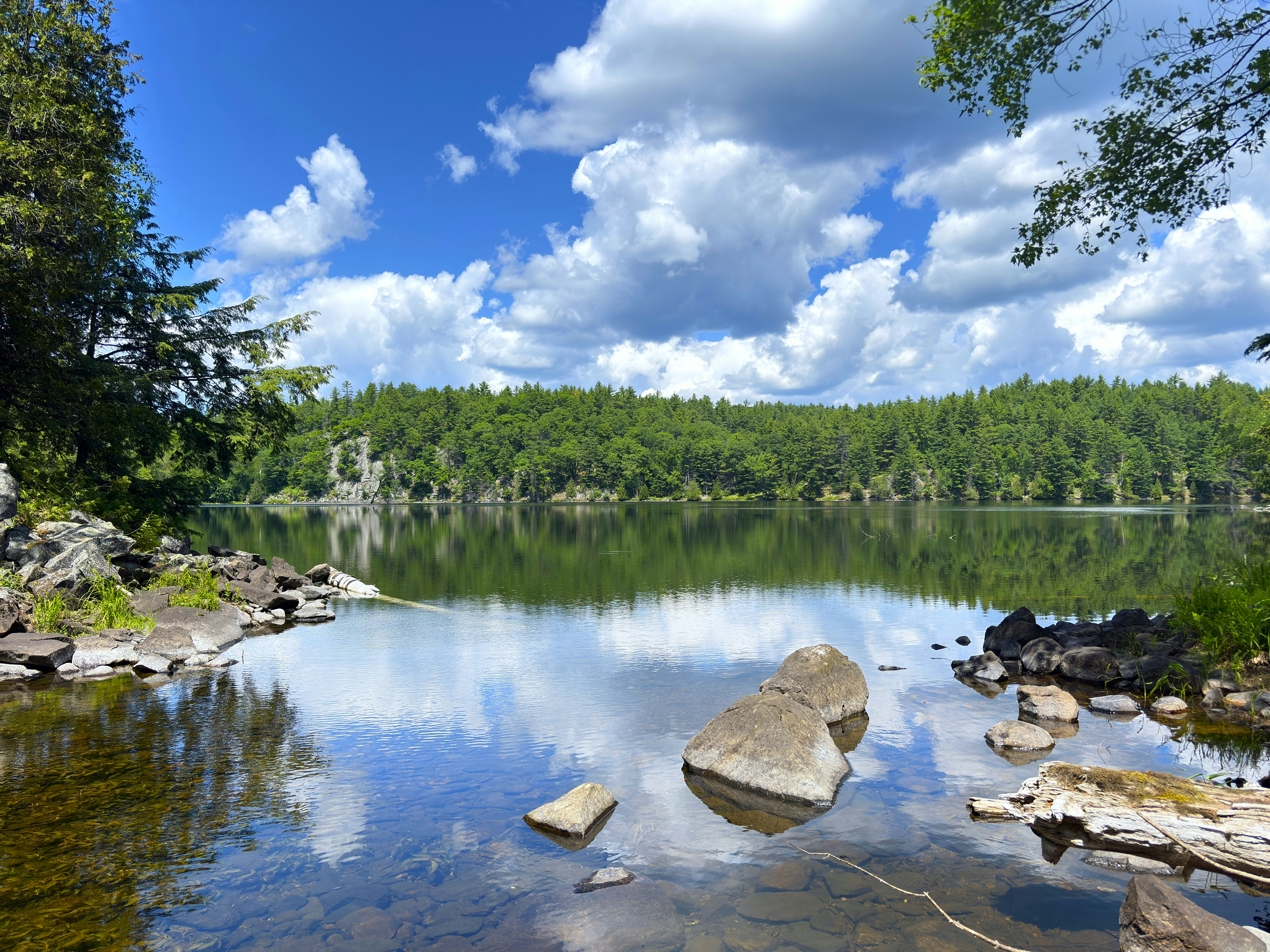 A calm lake reflecting a blue sky with clouds and a dense forest