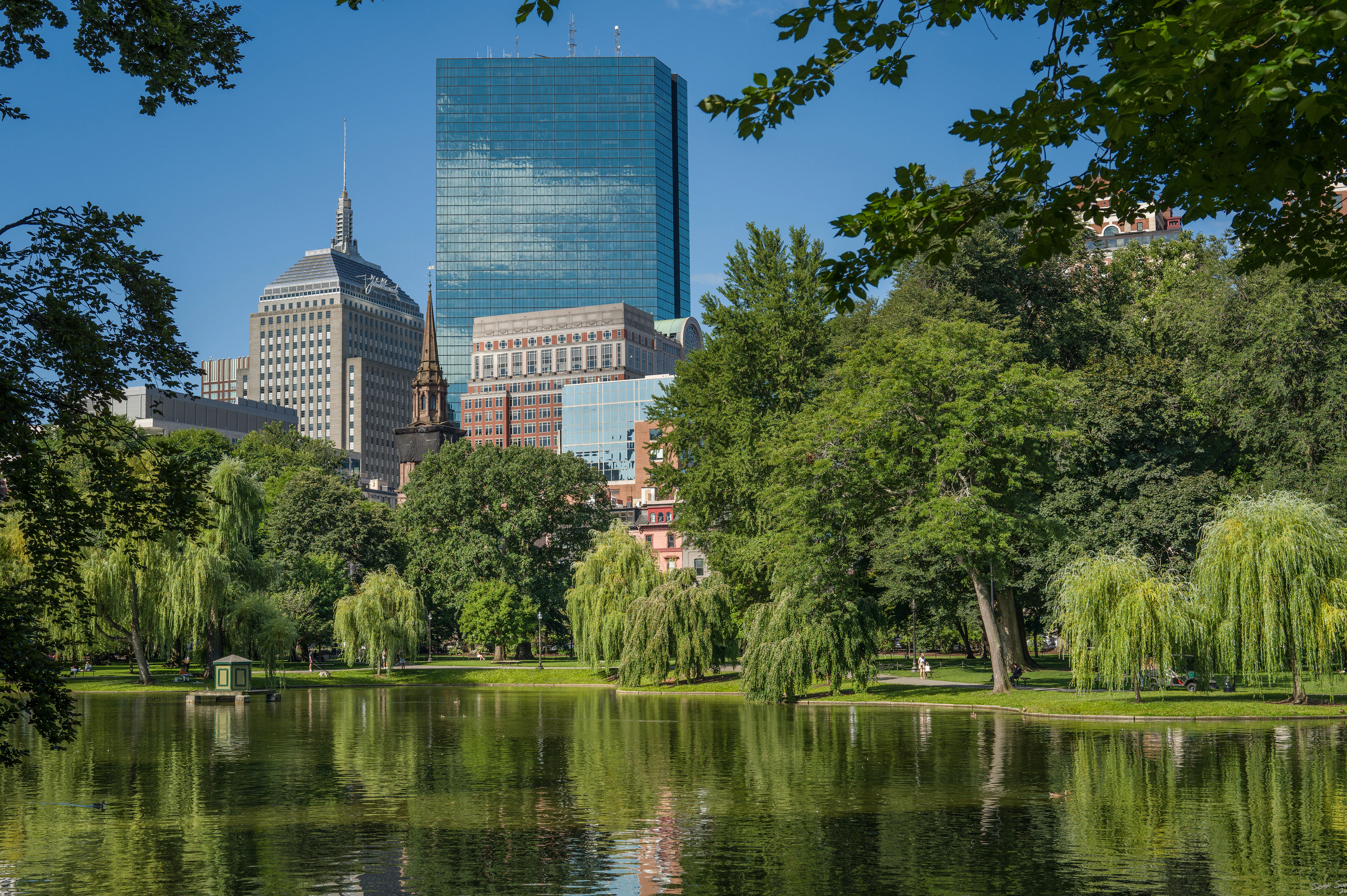 The lagoon in Boston Public Garden on a clear summer day, ringed by weeping willows, with the mirrored glass tower of Back Bay rising behind the treeline.