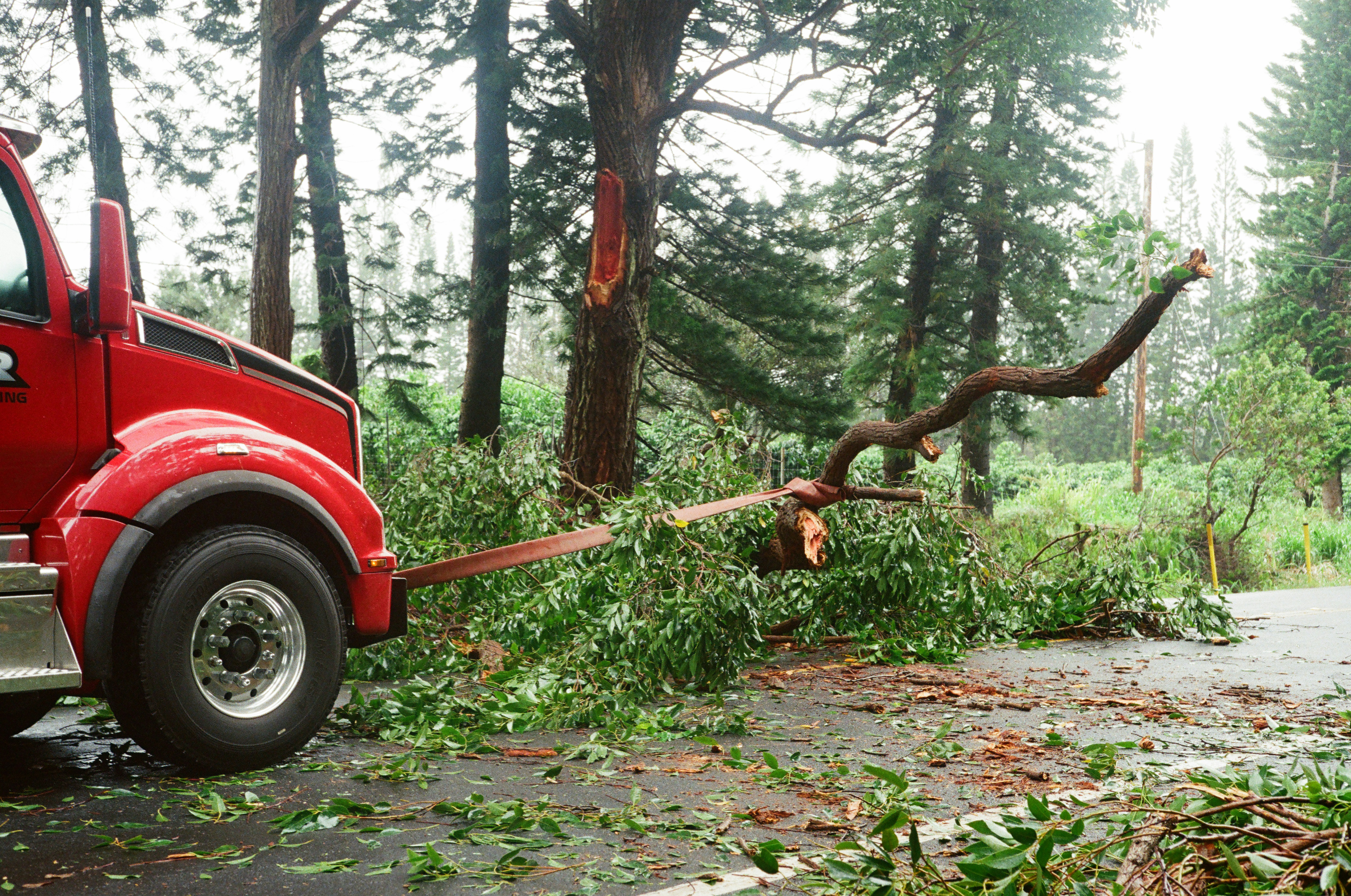 A red tow truck pulling a fallen tree branch from a road