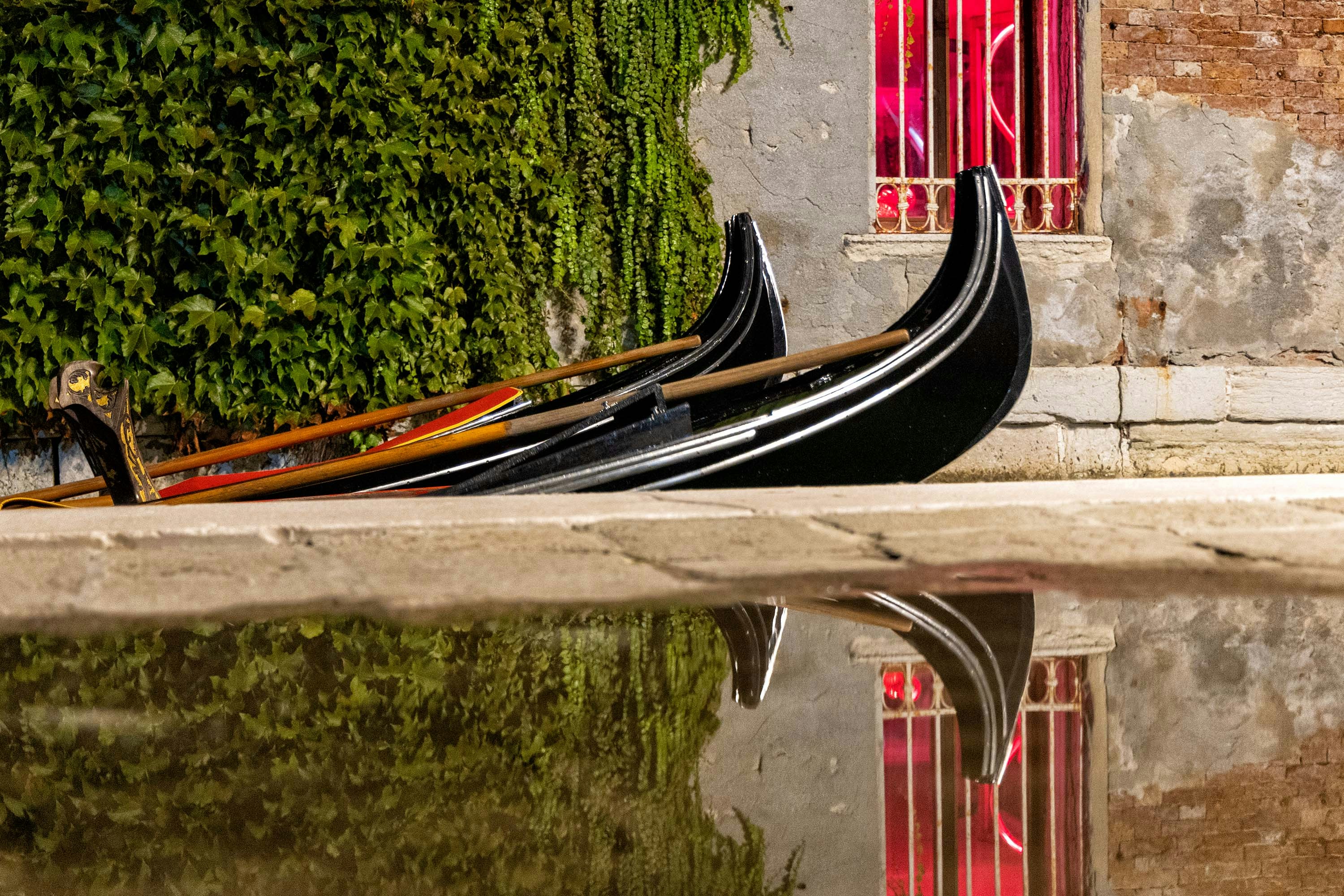 Dua gondola hitam berlabuh di dinding bata yang ditutupi tanaman ivy hijau di Venesia