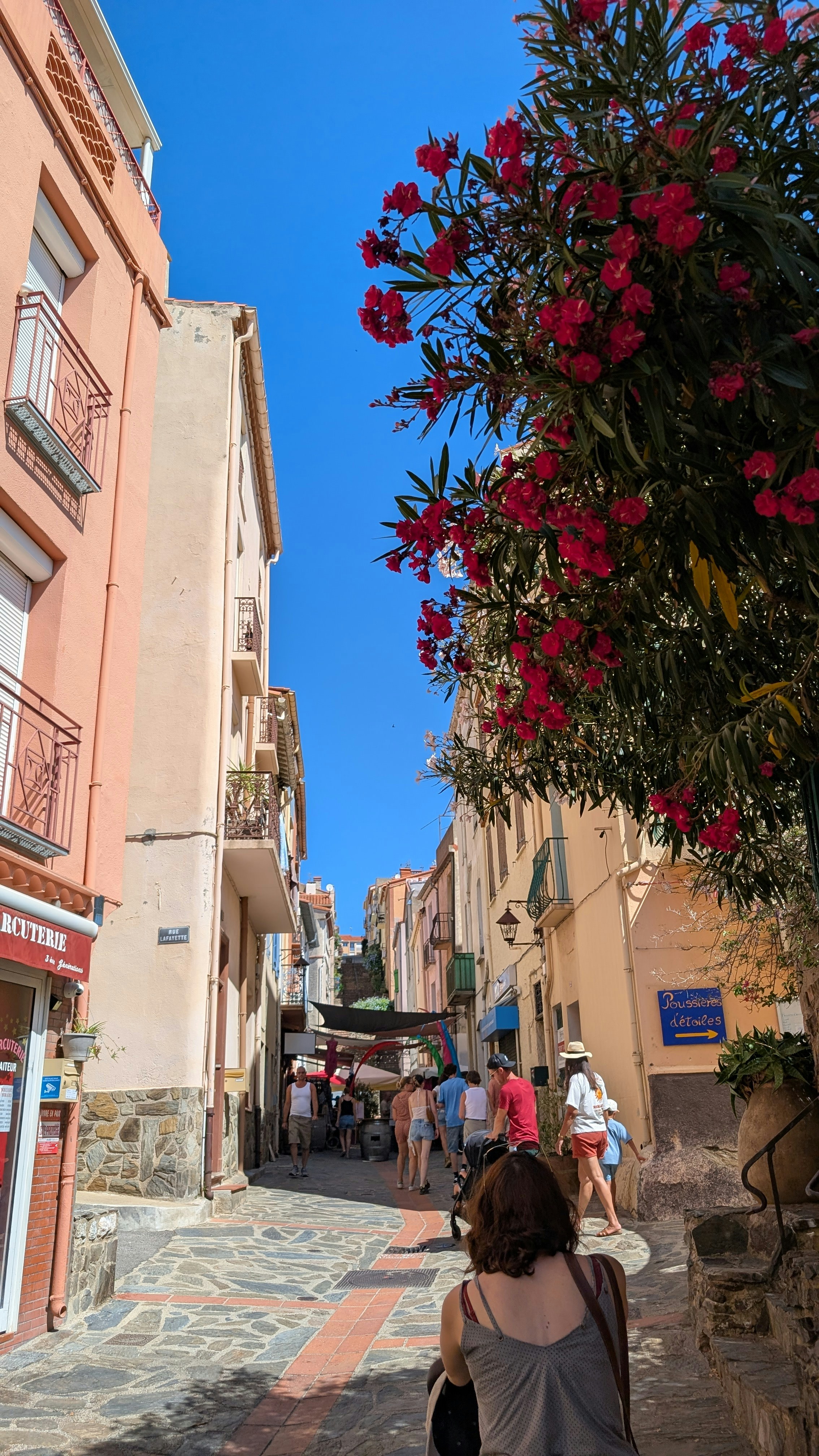 People walking down a narrow street with pink buildings and blooming oleander flowers