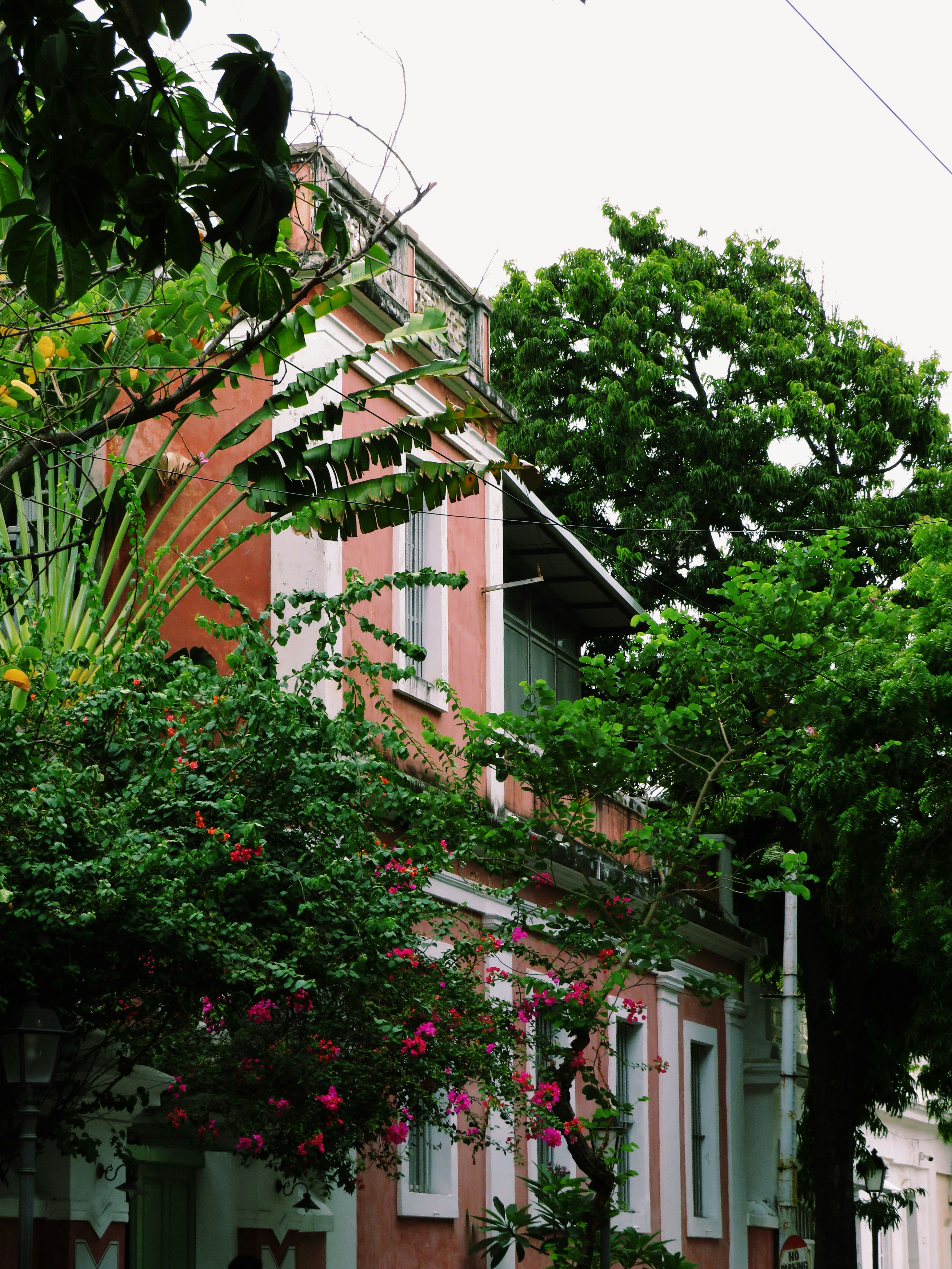 Un edificio coloniale rosa con rifiniture bianche circondato da rigogliosi alberi verdi e bouganvillea