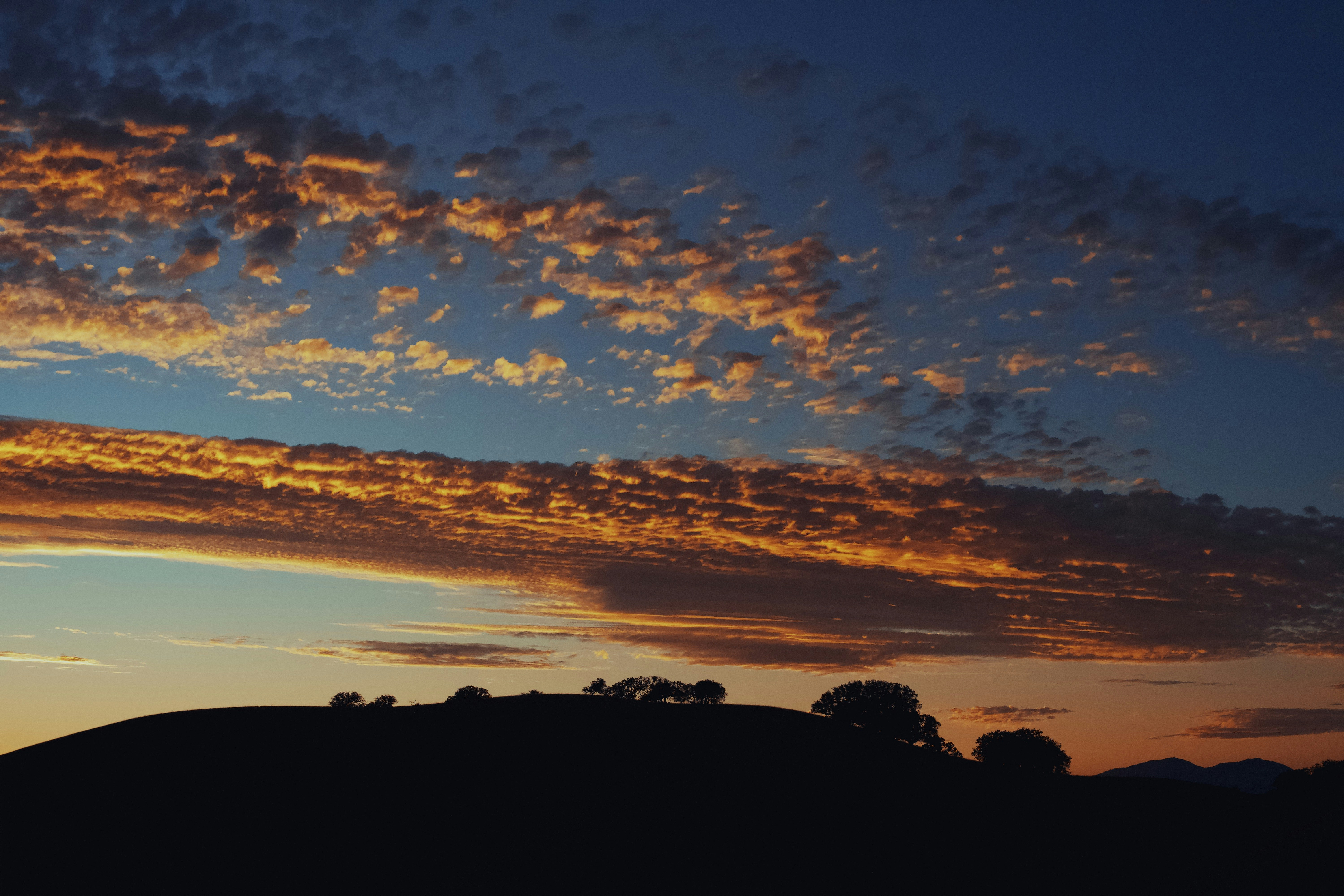 Silhouetted trees on a dark hill under a sky with orange clouds